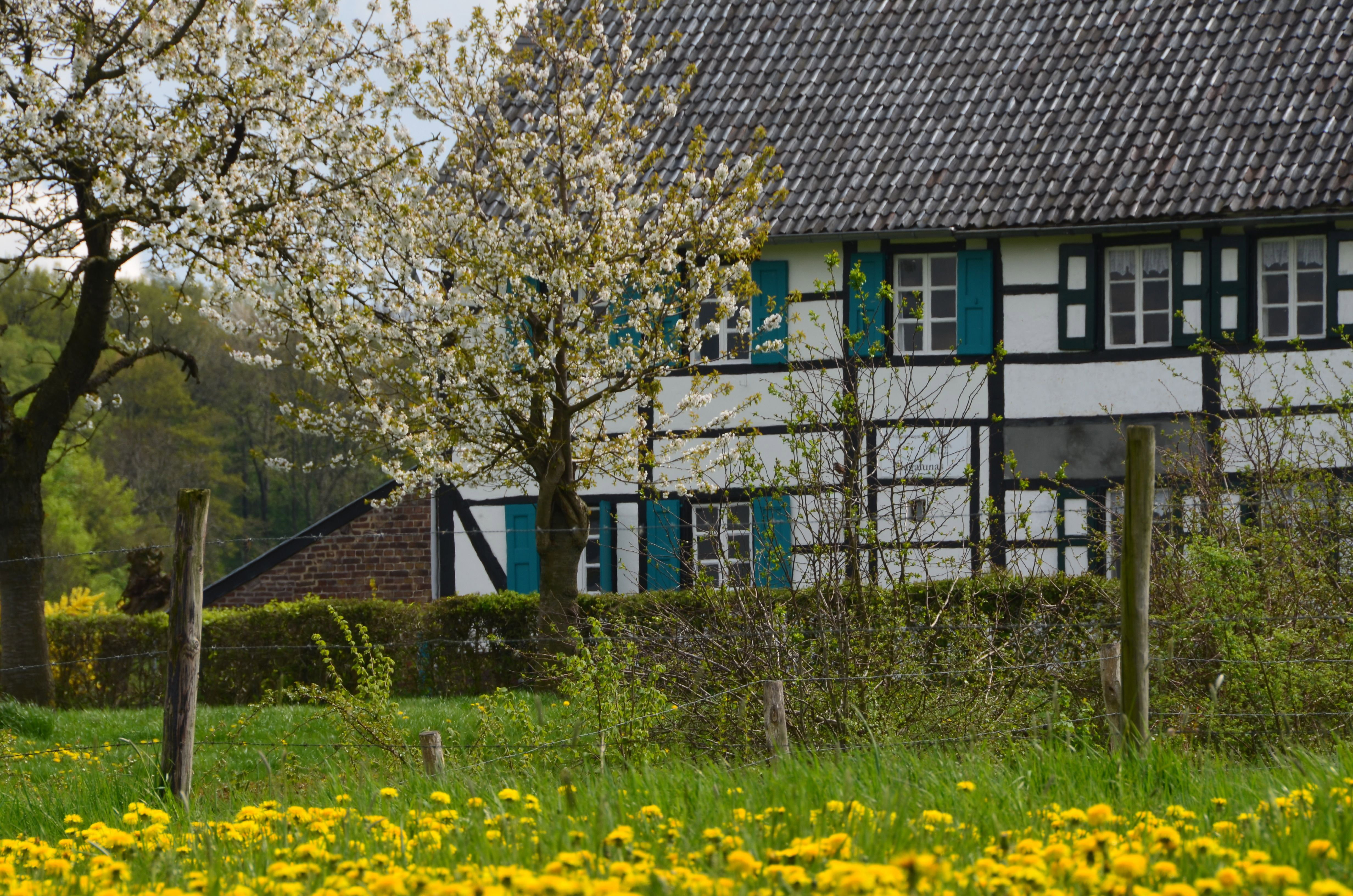 Naturhäuschen in Mechelen