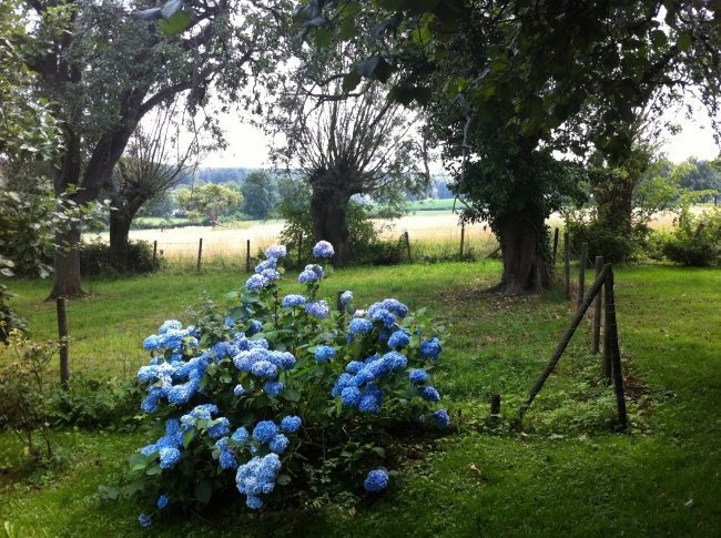 - image: 15
