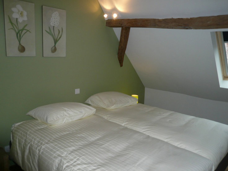 - image: 12