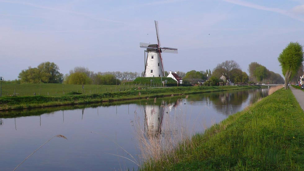 - image: 20