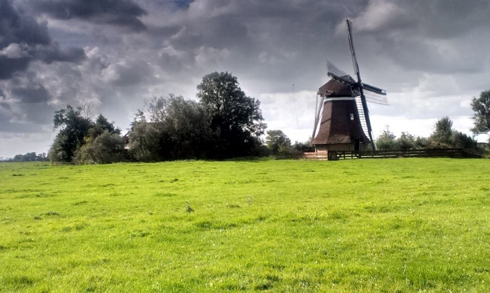 Naturhäuschen in Wyns
