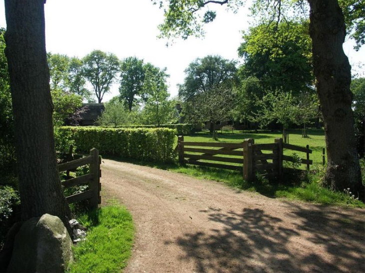 - image: 18
