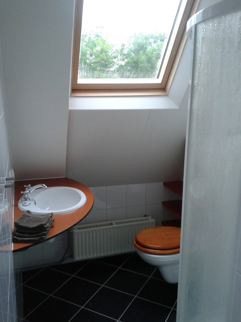 - image: 19