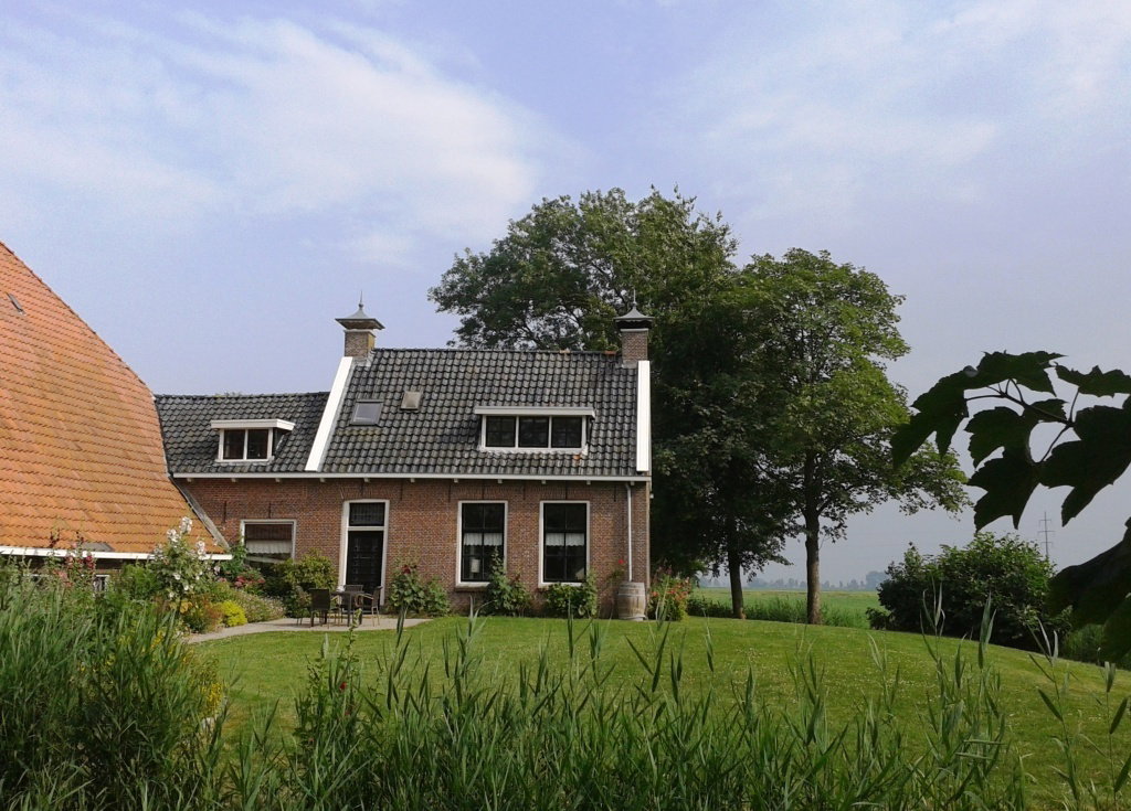 - image: 15