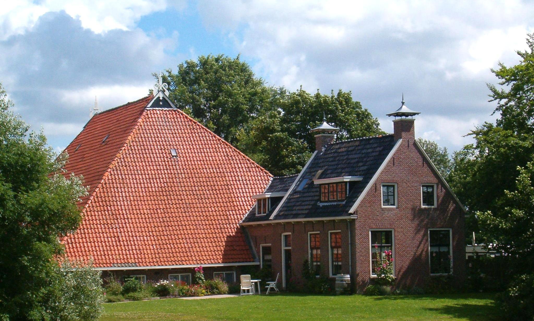 - image: 1