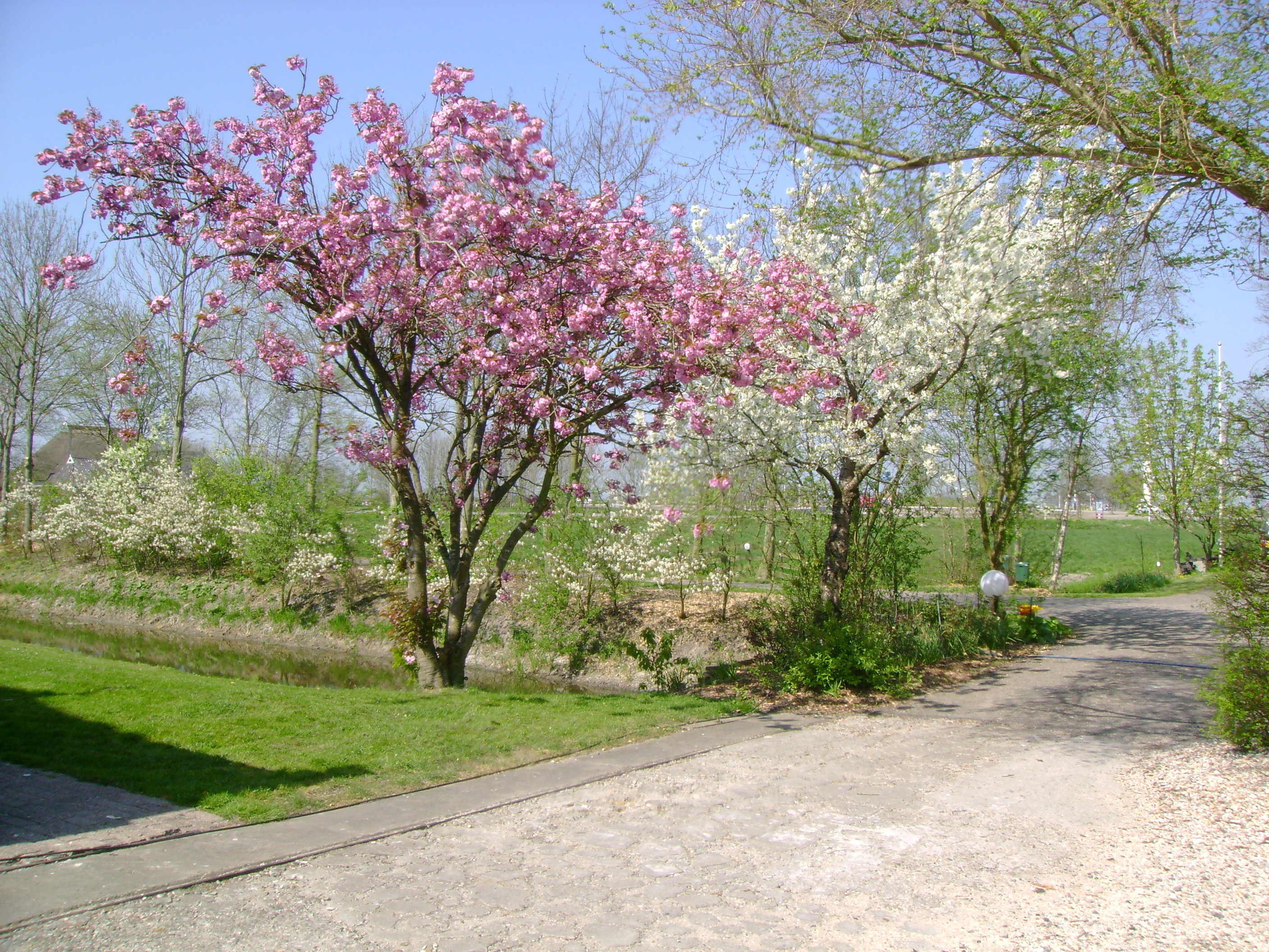 - image: 25