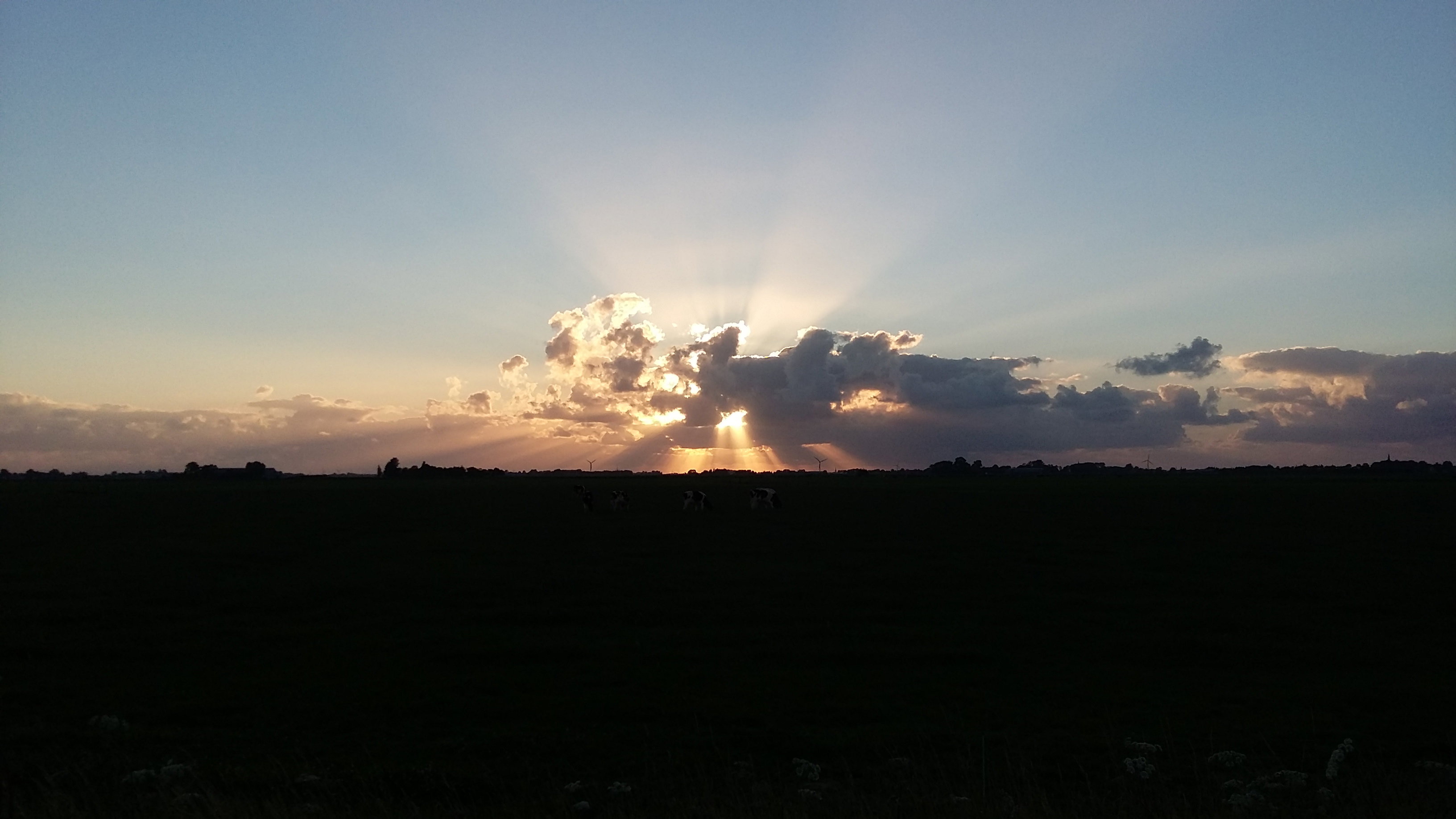 - image: 16