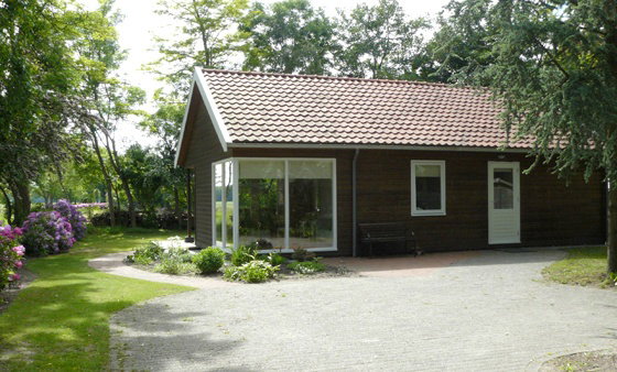 - image: 11