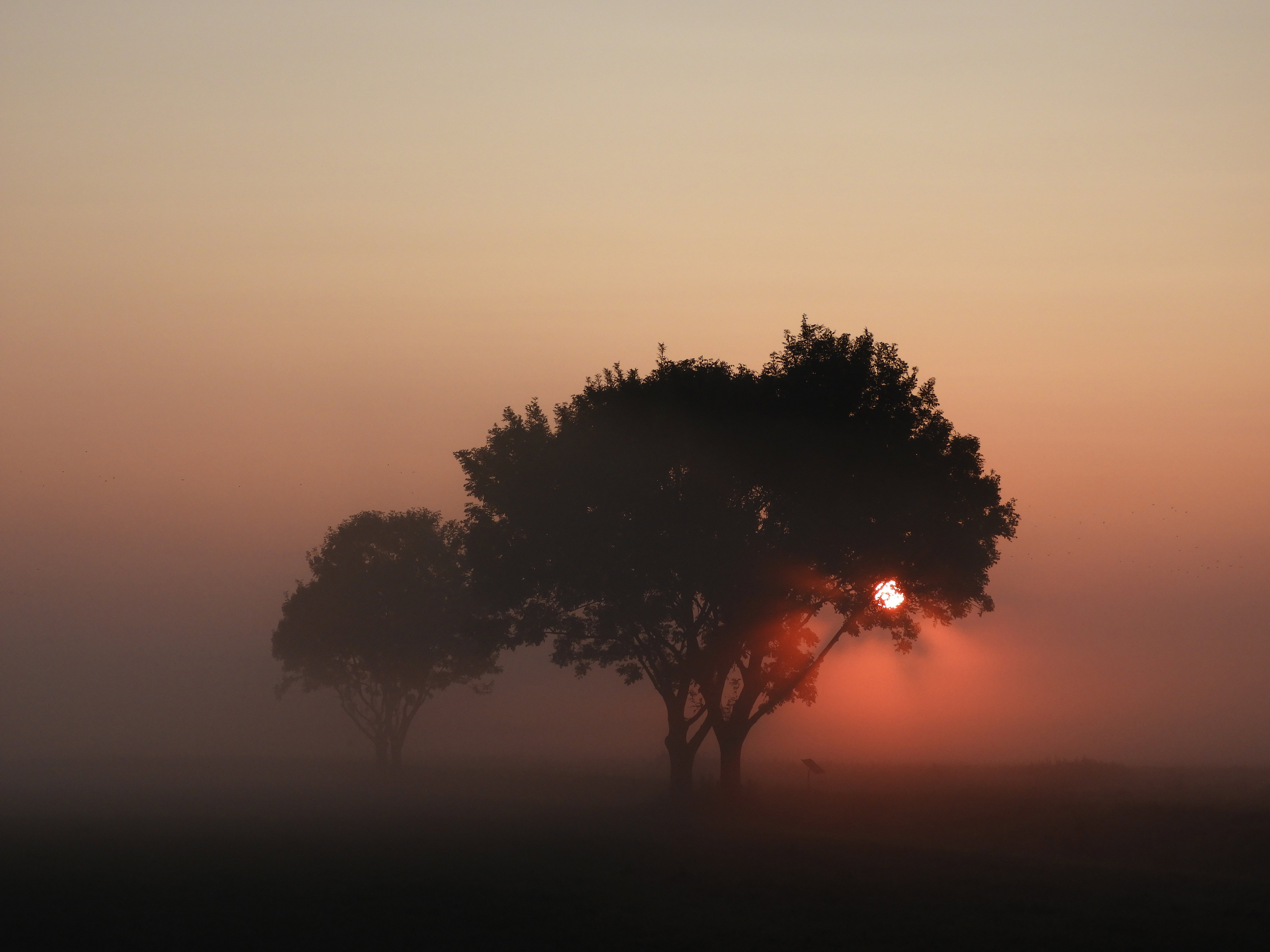 - image: 10
