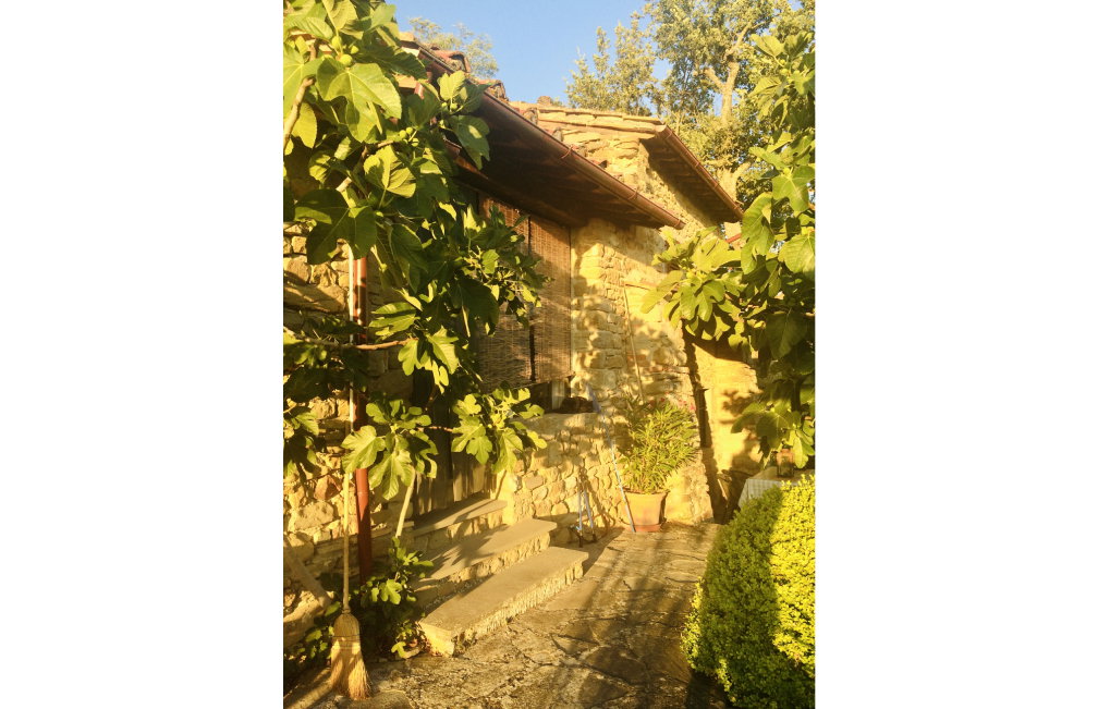 Casa nella natura a Molezanno - Private Swimming Pool