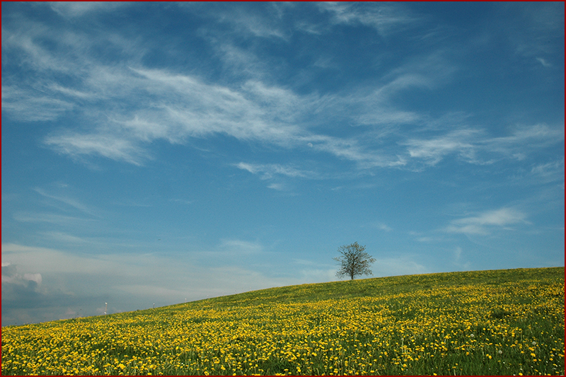 - image: 23