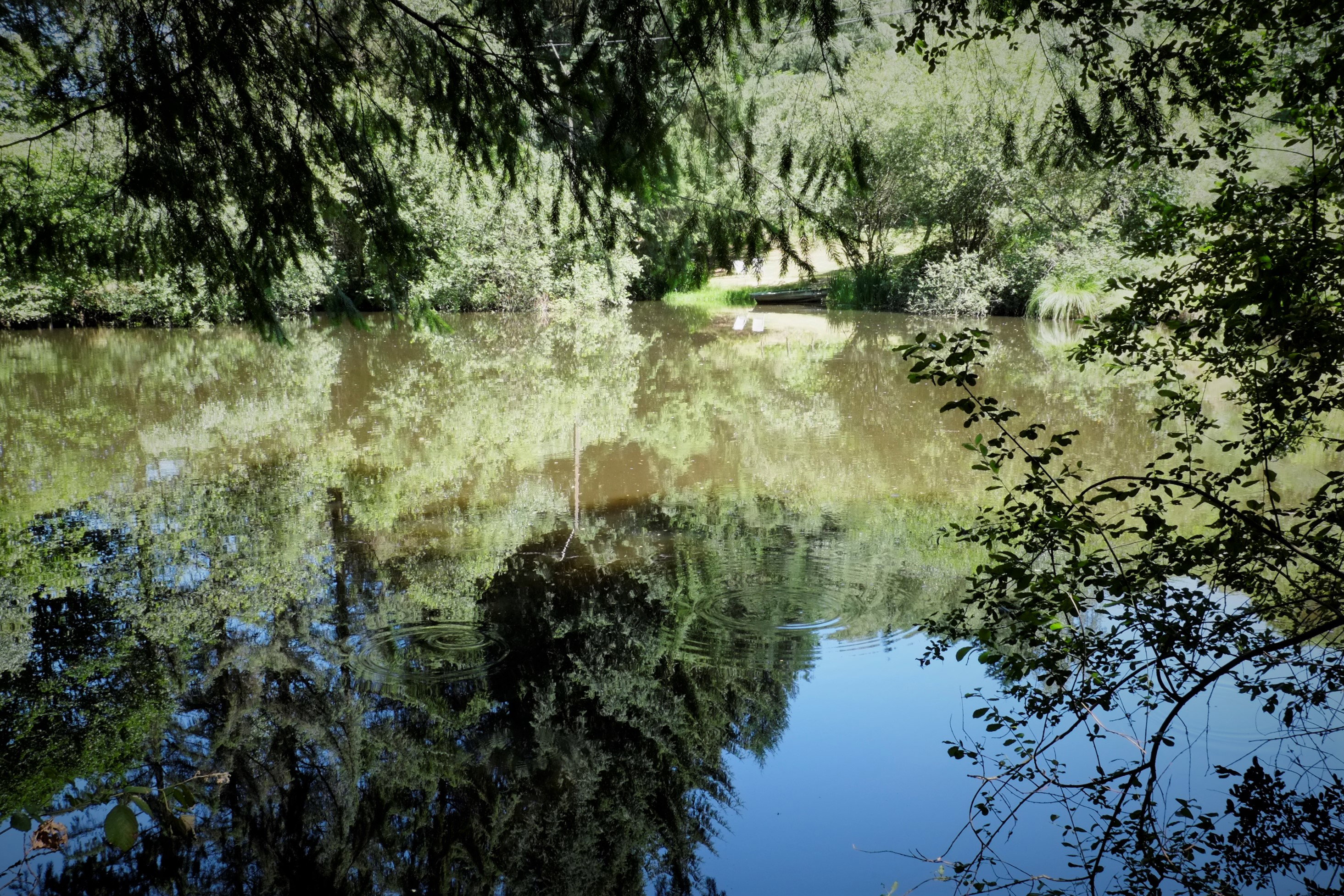 - image: 19