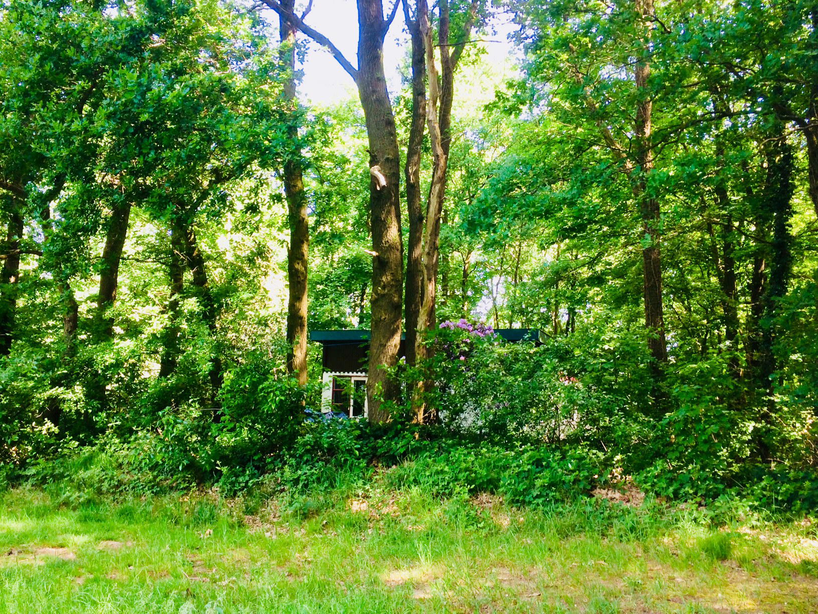 Natuurhuisje in Beesel