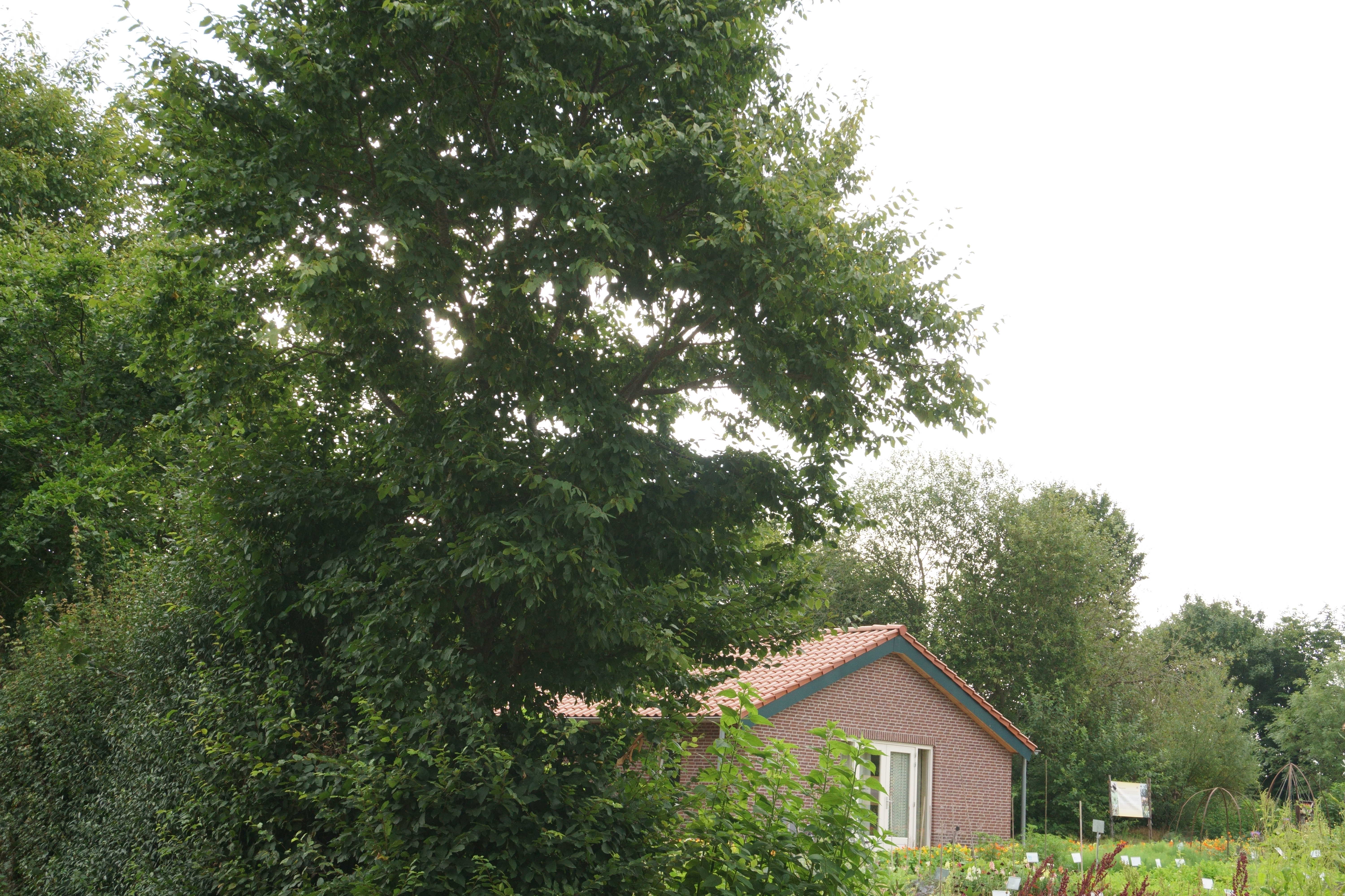 - image: 24