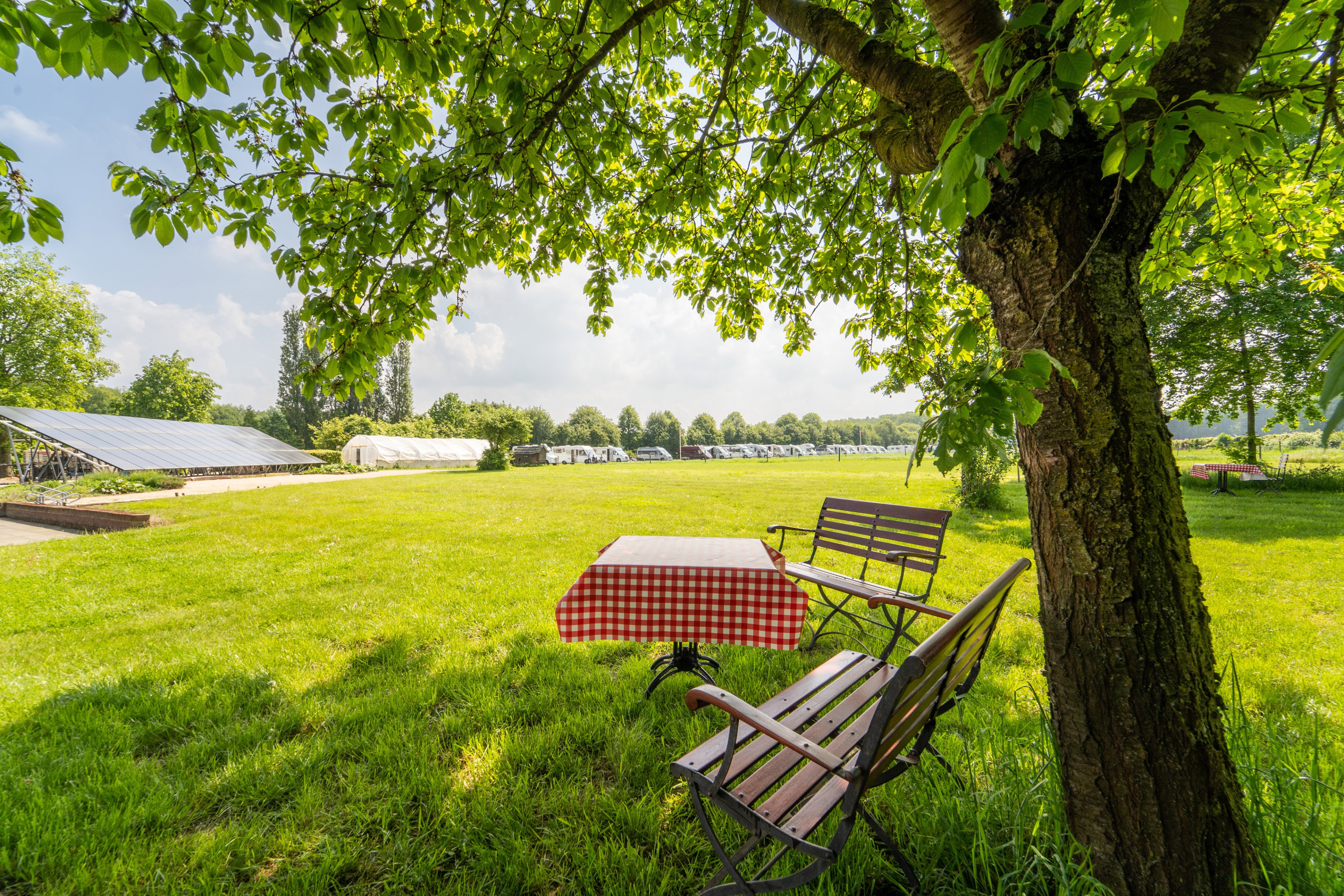 Natuurhuisje in Beesel
