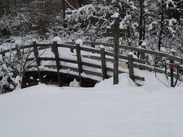 - image: 15