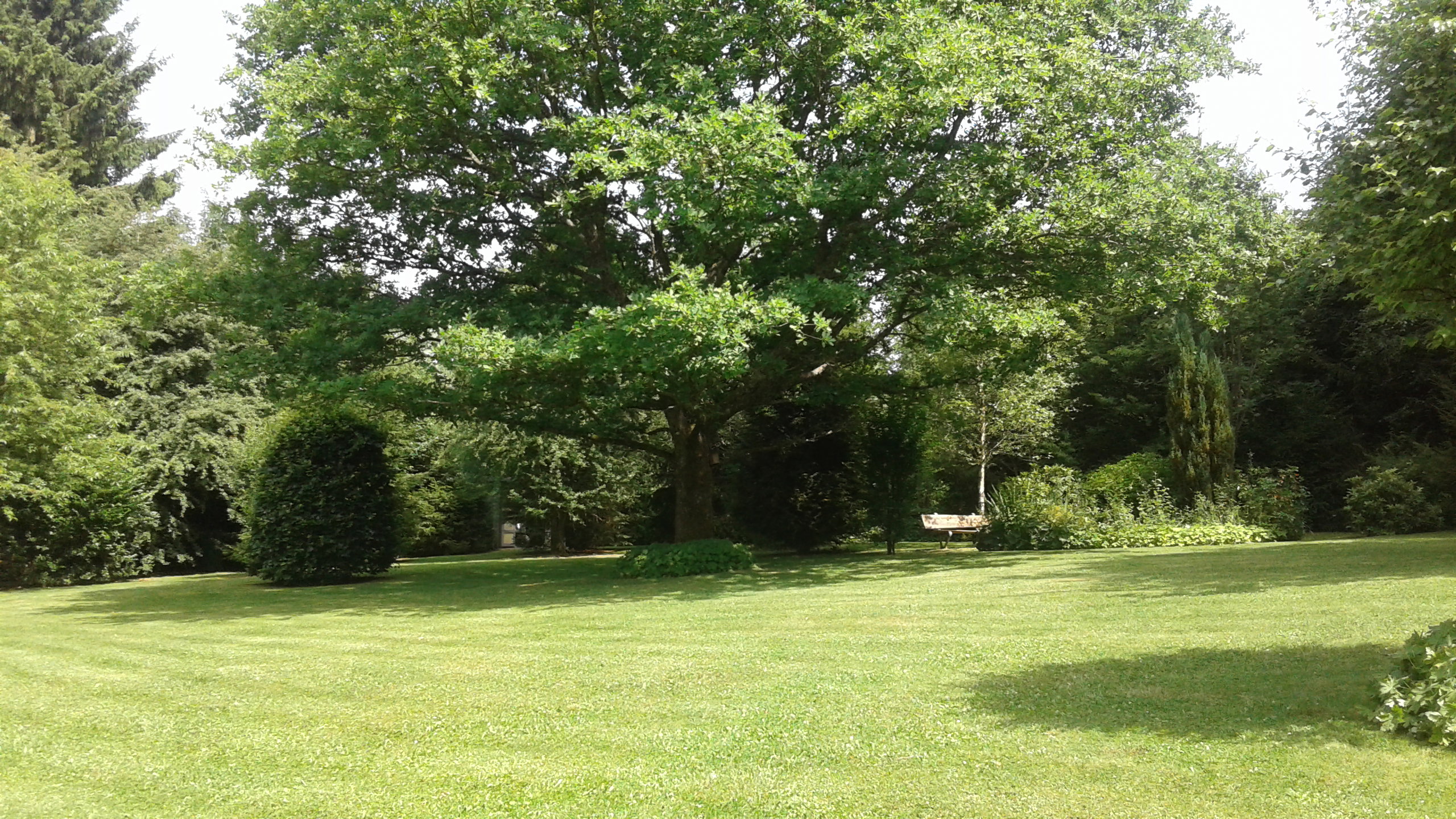 Natuurhuisje in Rienne