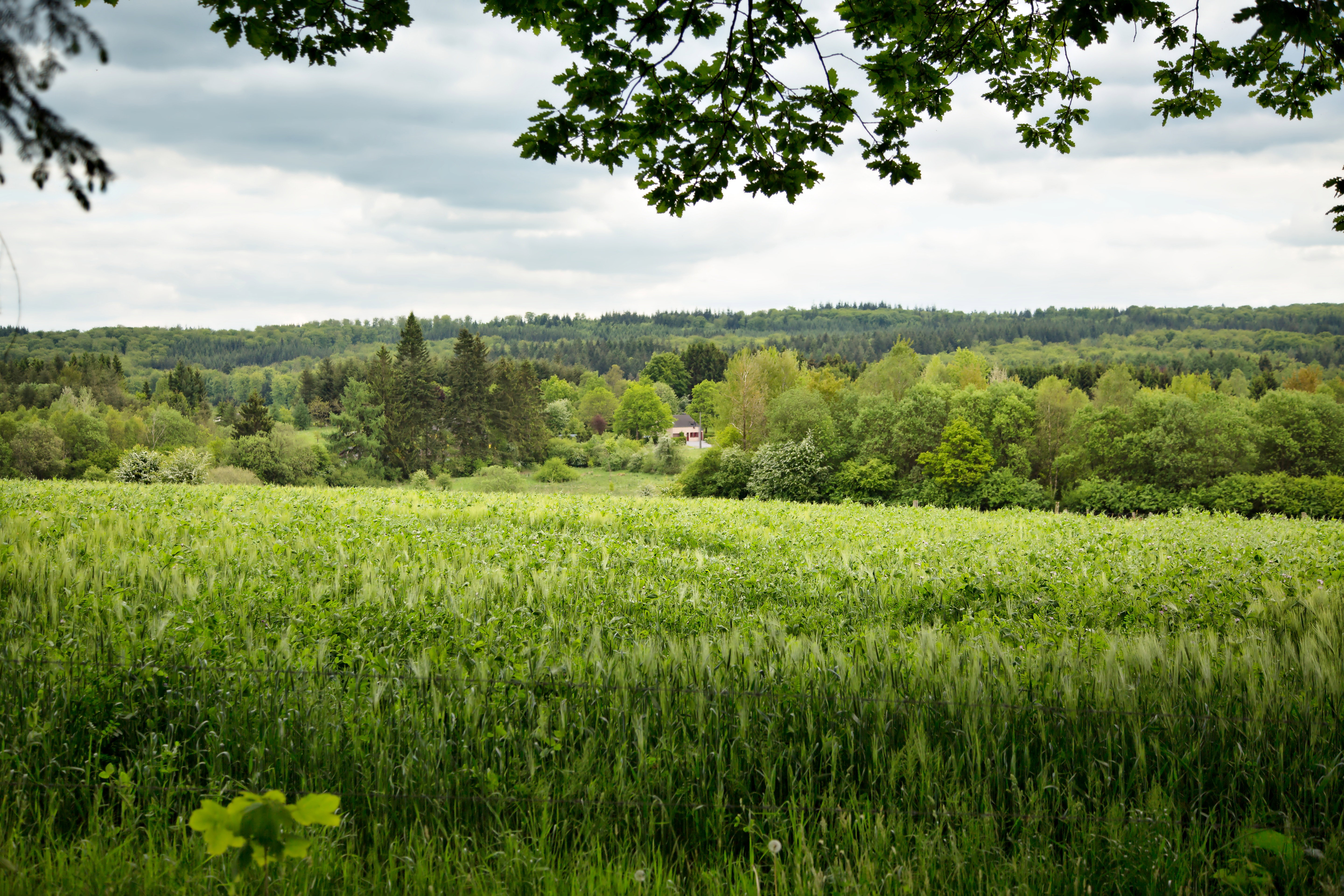 Natuurhuisje in Rienne
