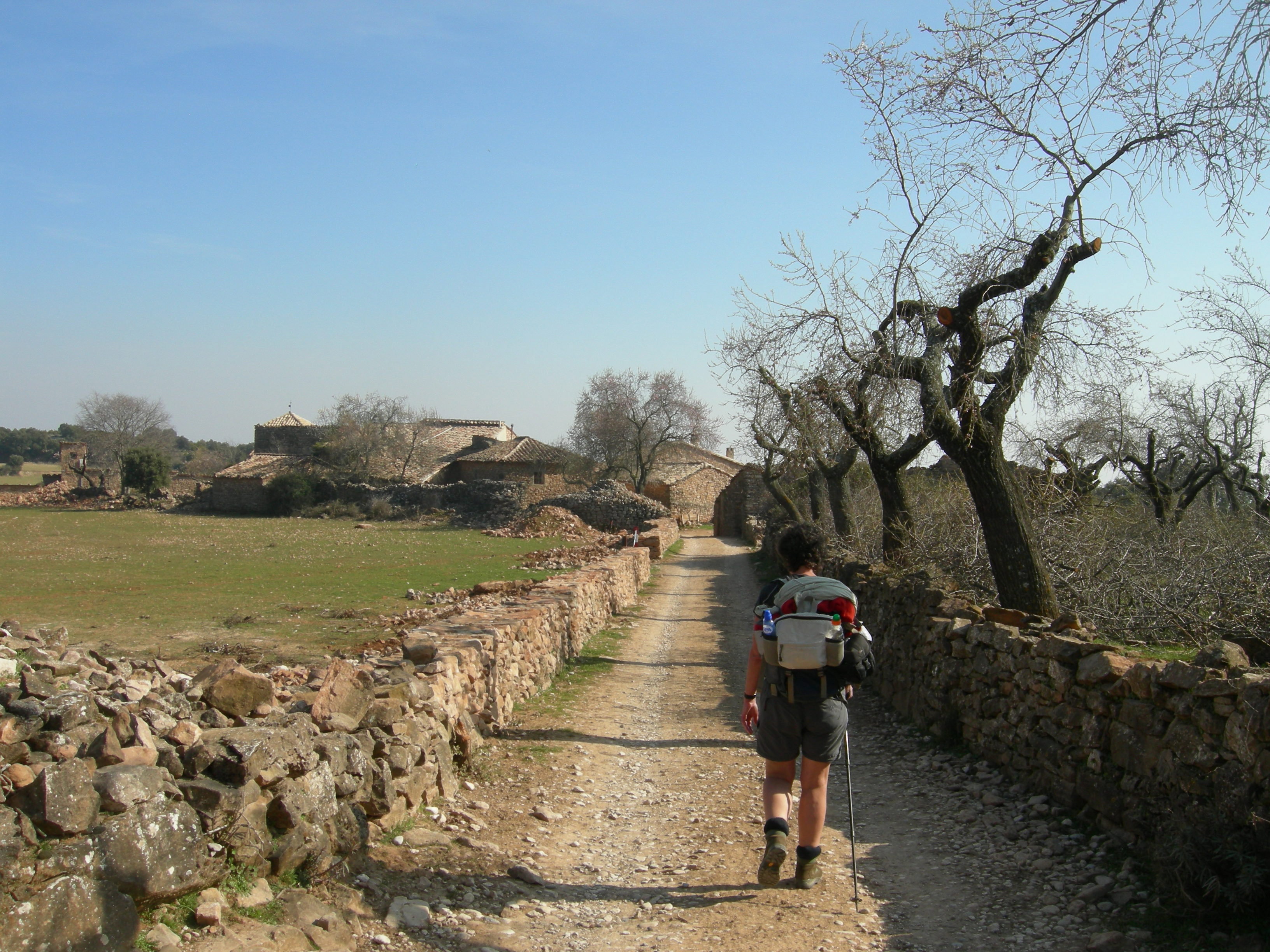 - image: 19
