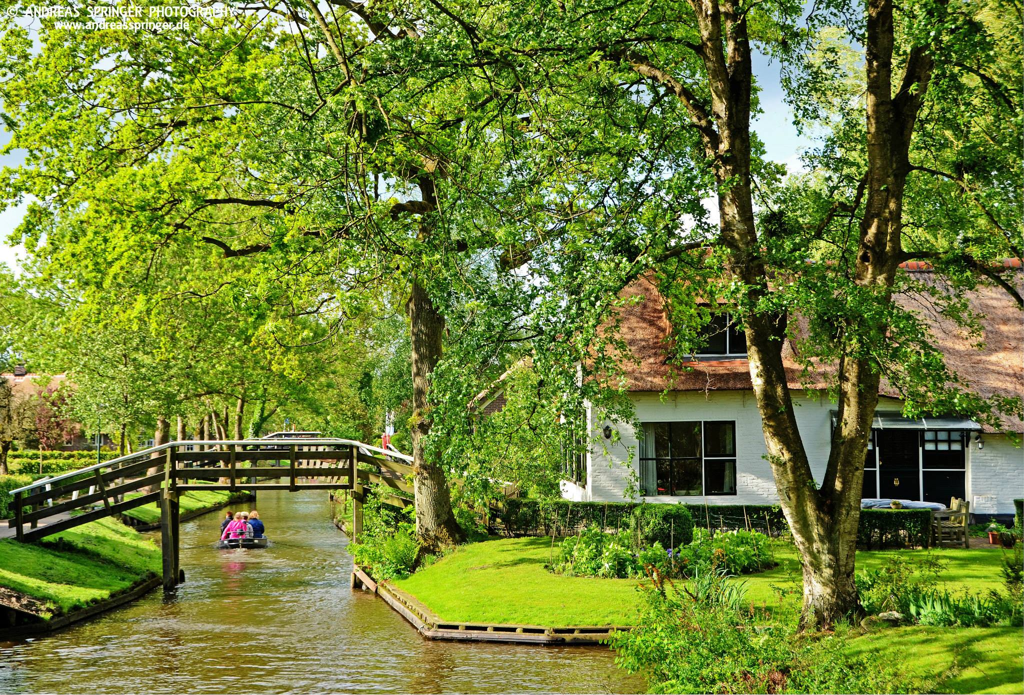 - image: 12
