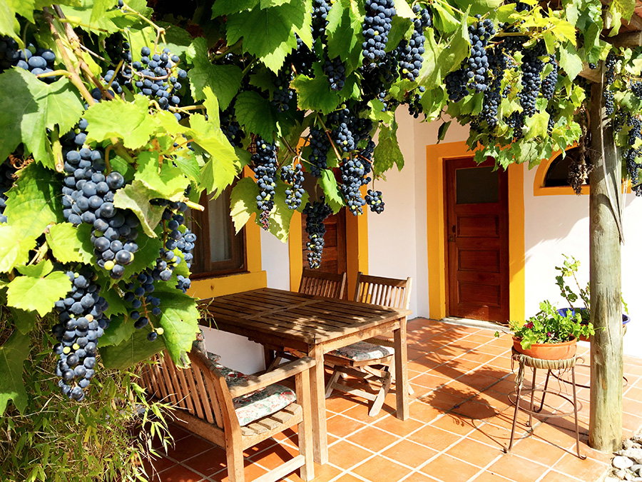 Casa nella natura a Vimeiro, Alcobaça