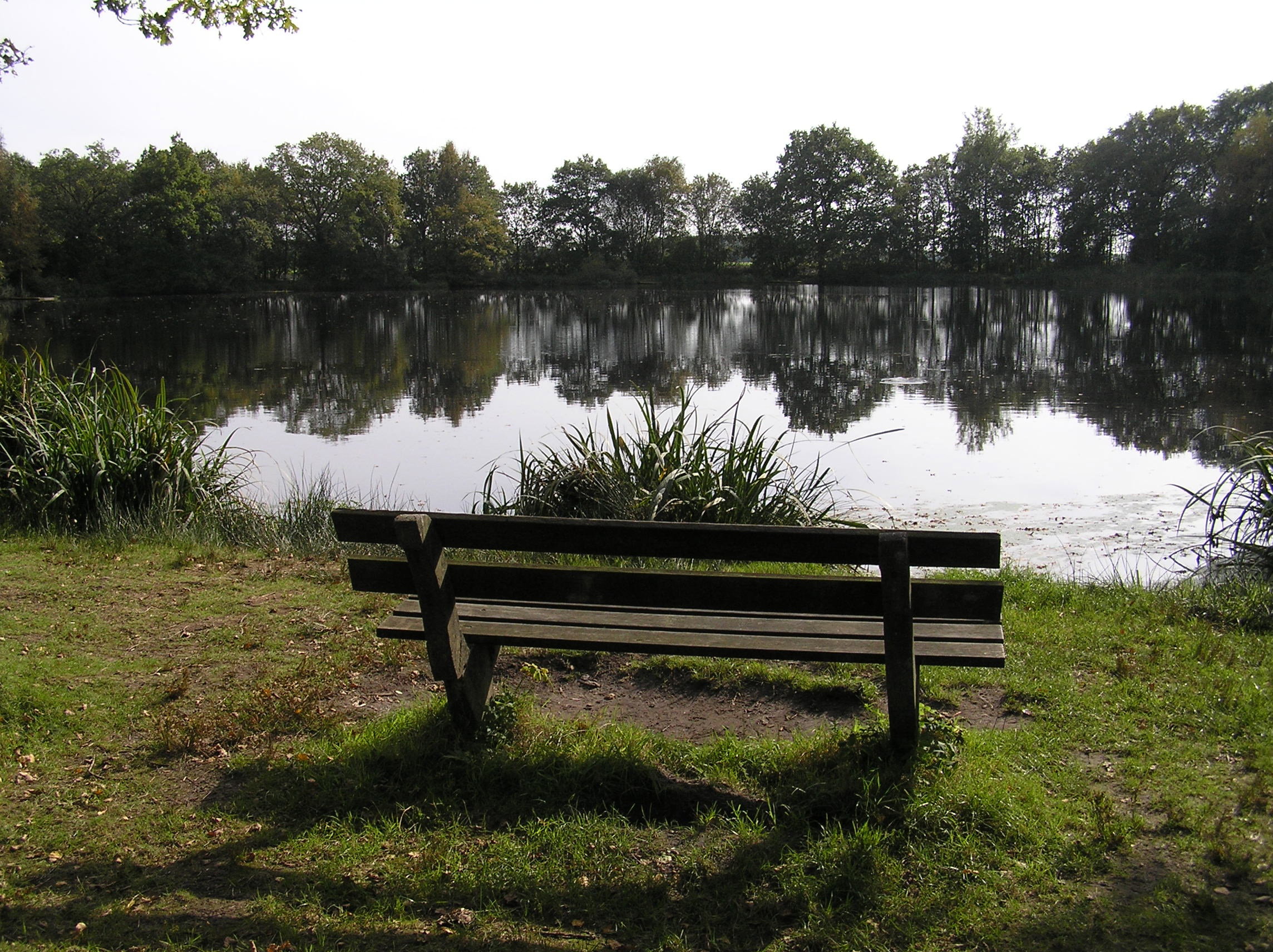 - image: 17