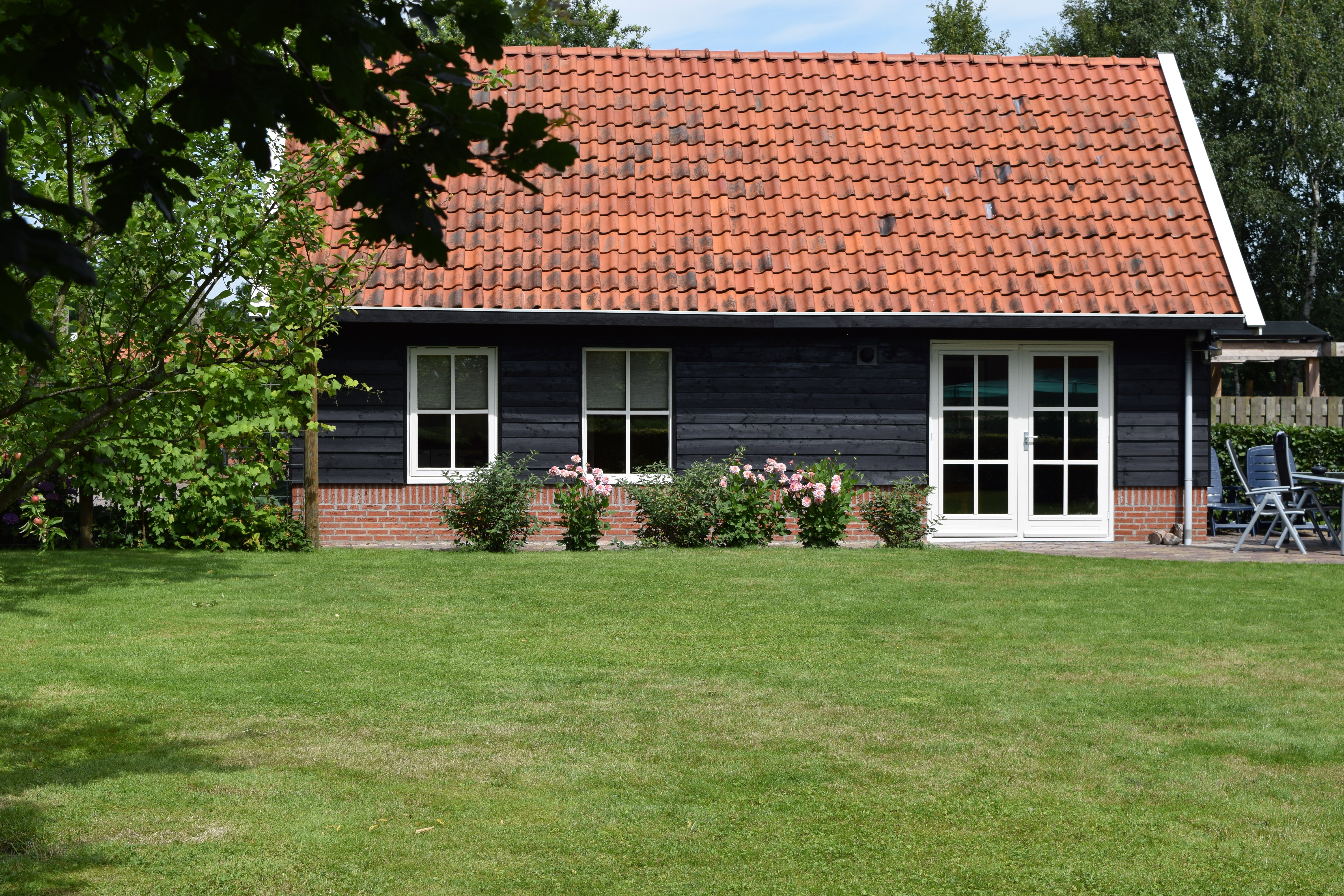 - image: 2