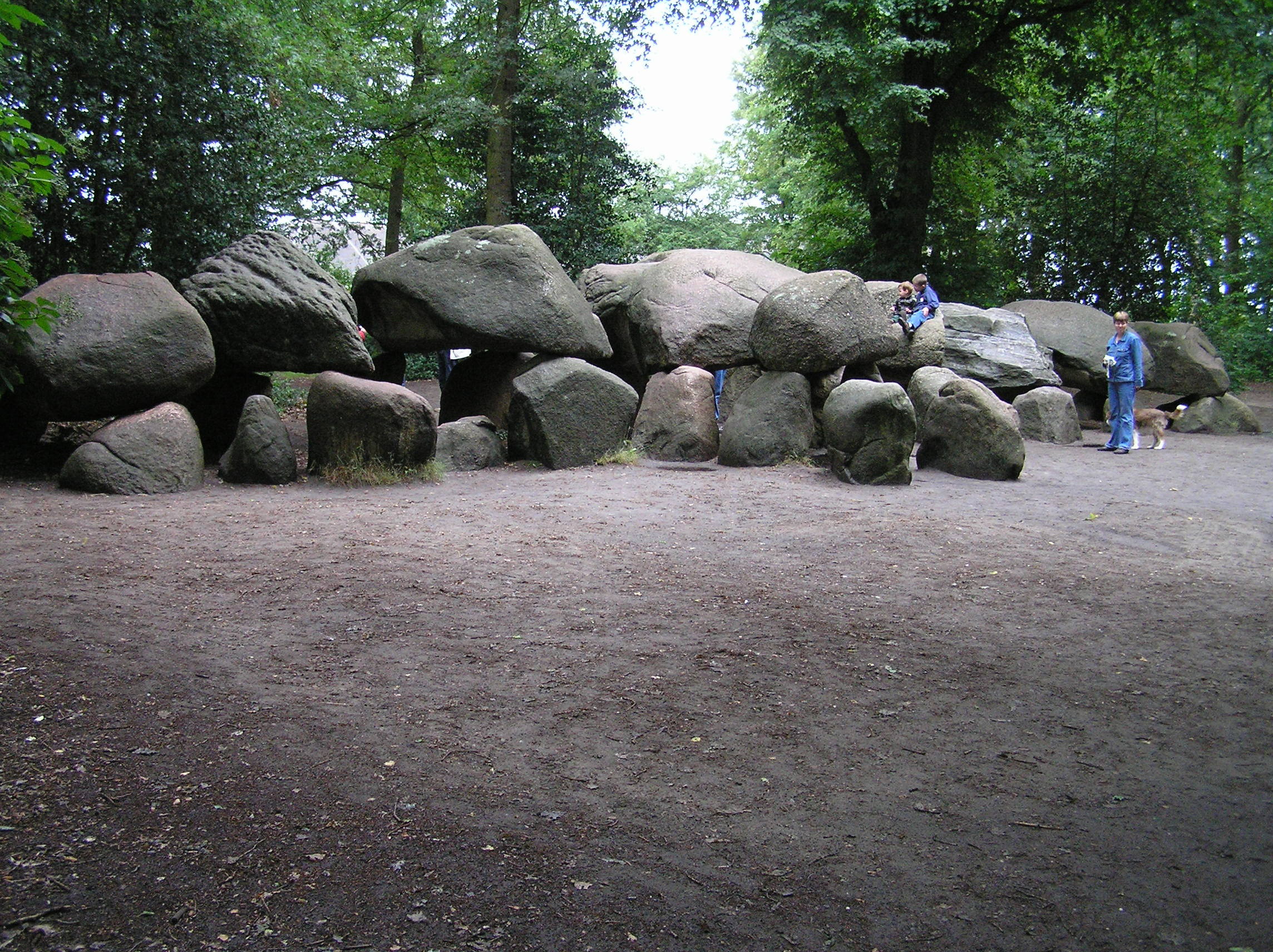 - image: 16