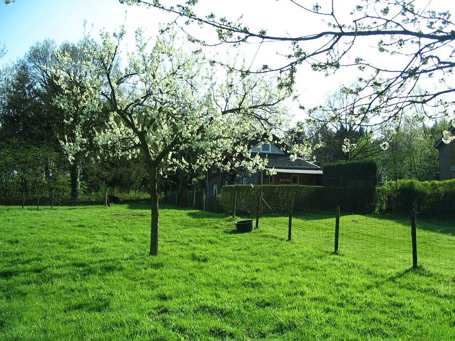 Naturhäuschen in Vijlen
