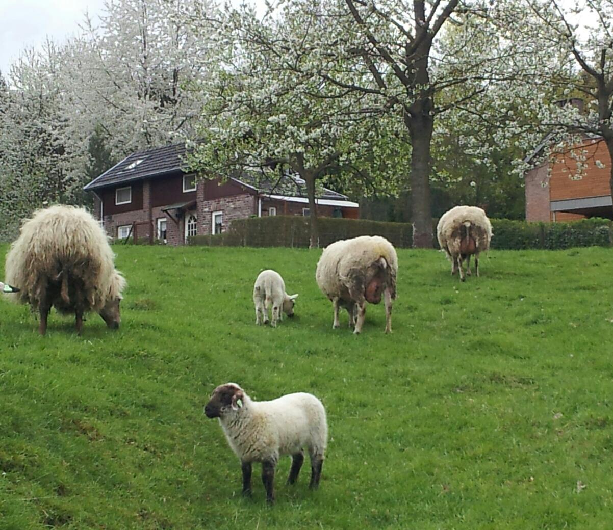 Natuurhuisje in Vijlen