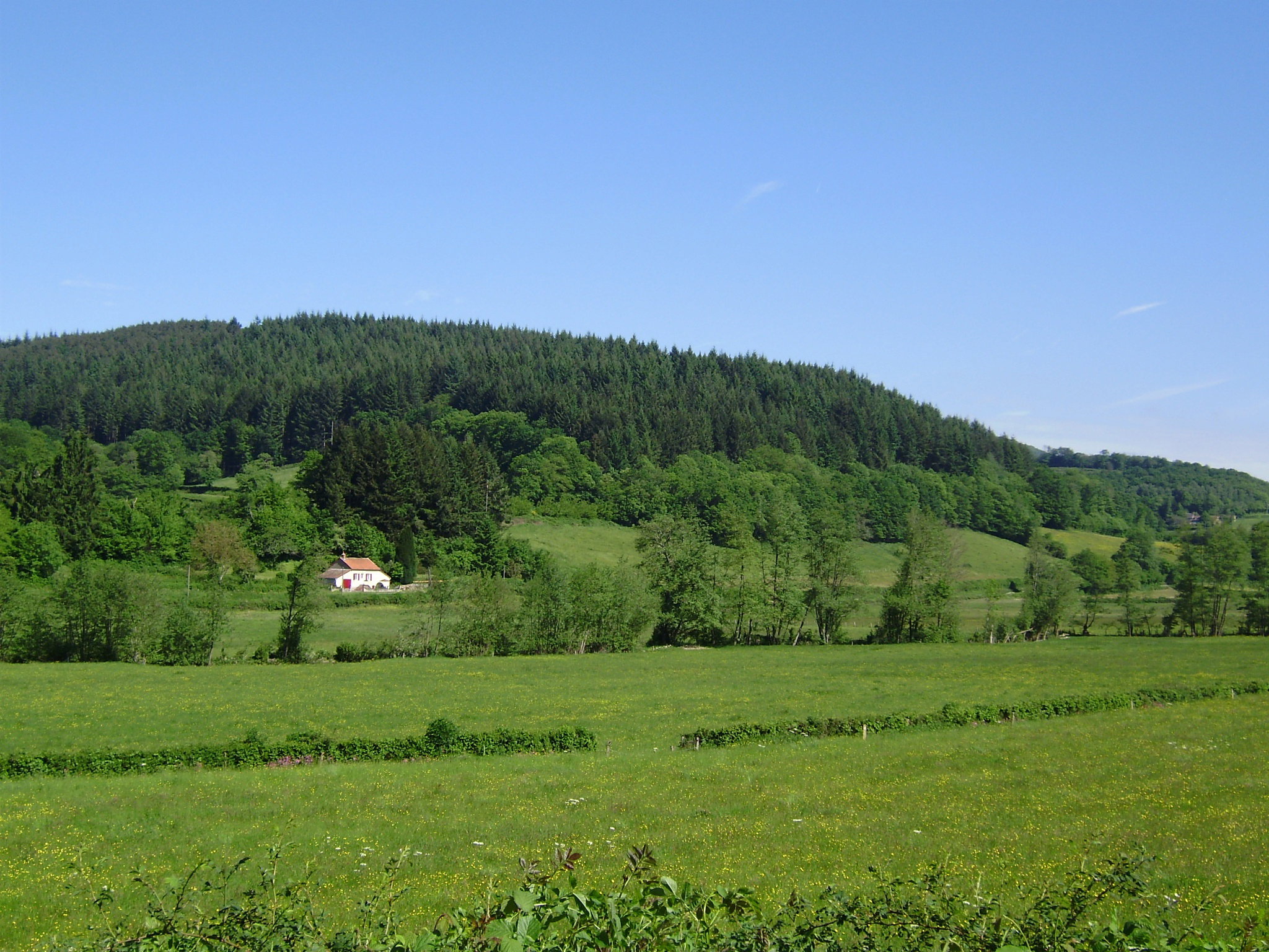 - image: 29