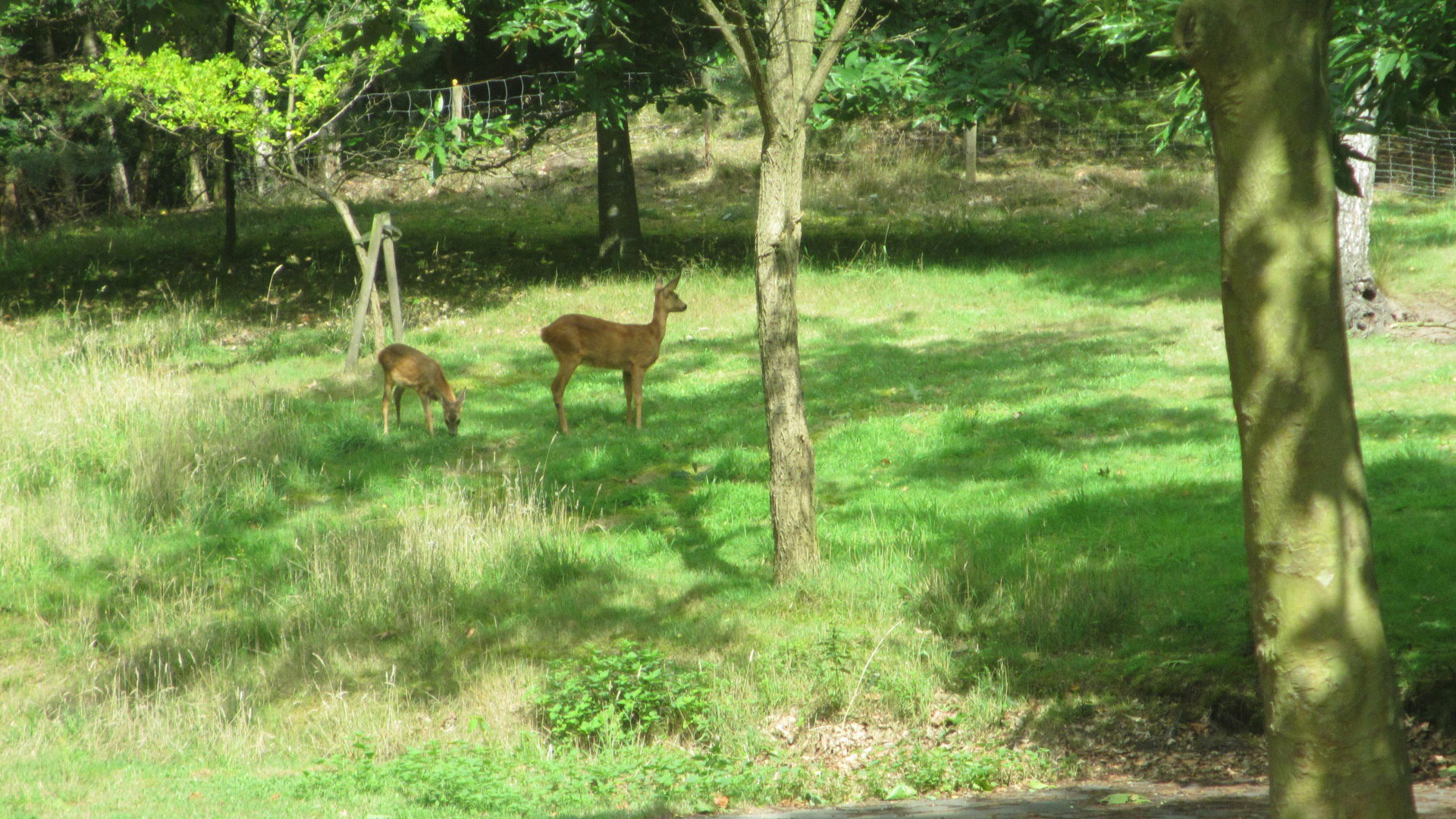 Maison nature à De Bilt