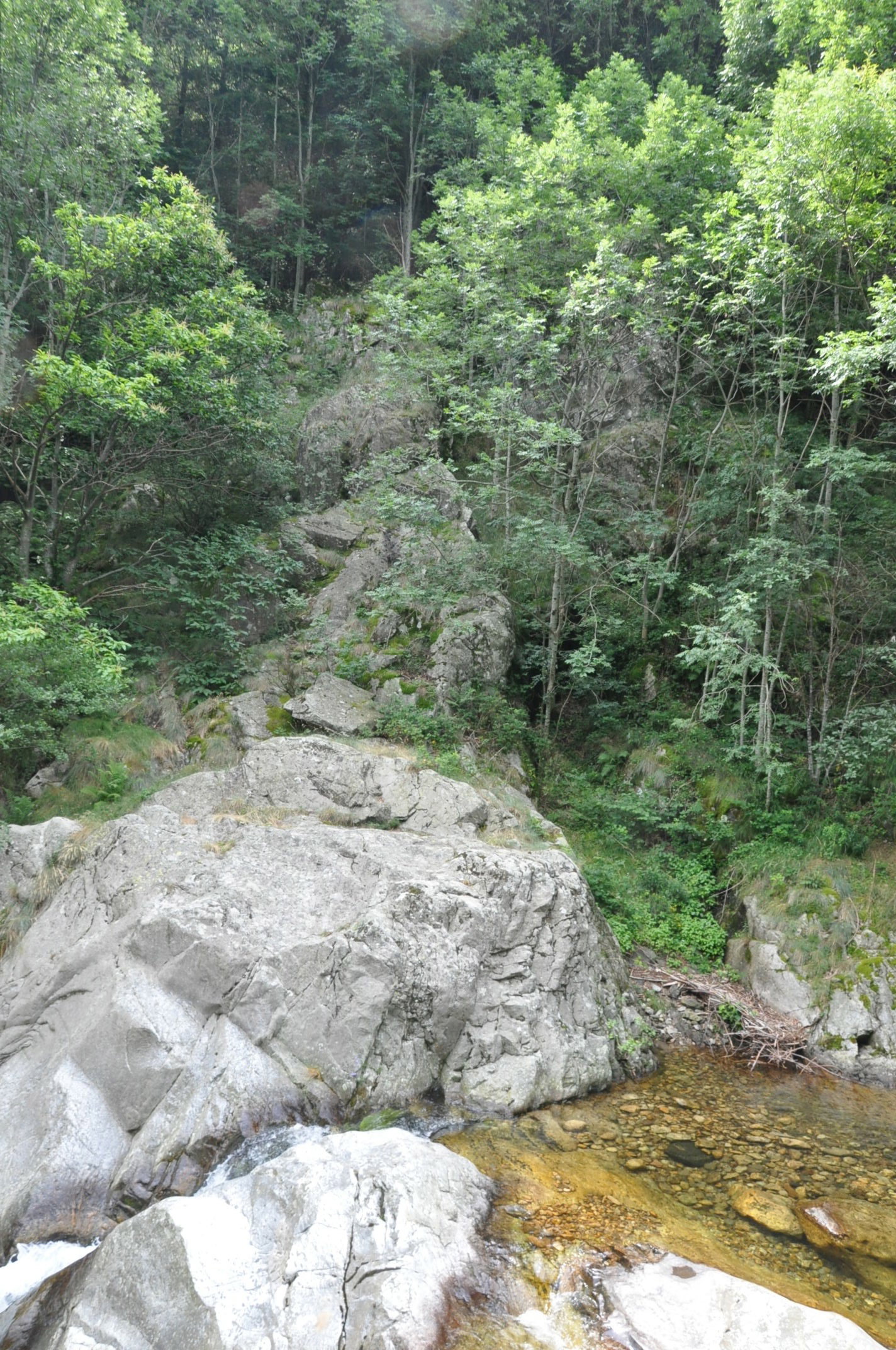 - image: 12