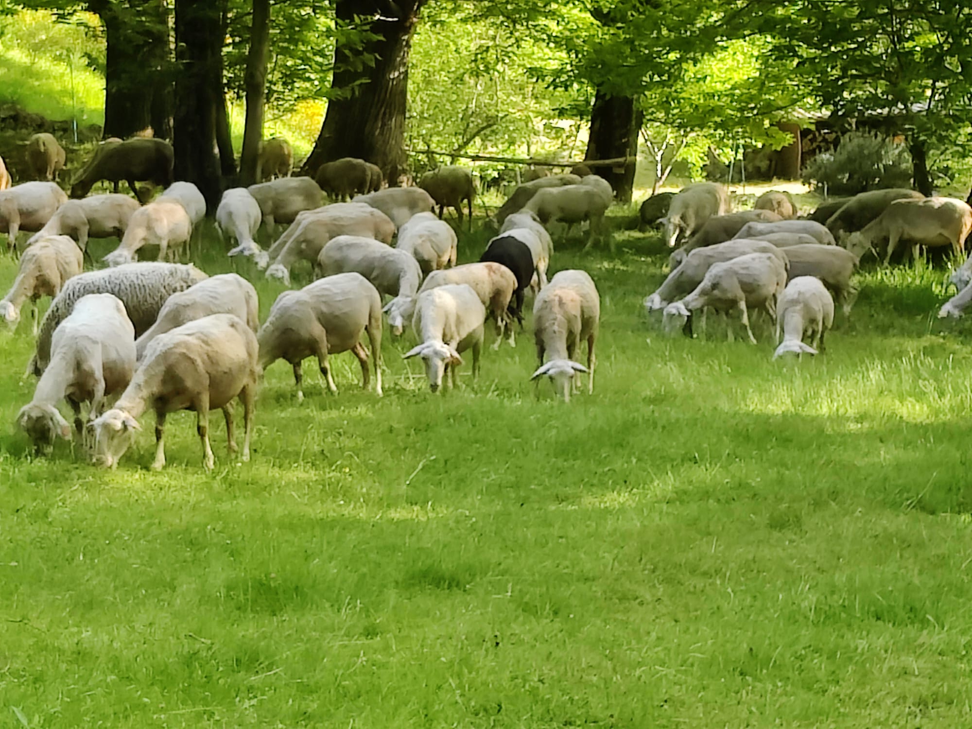 - image: 14
