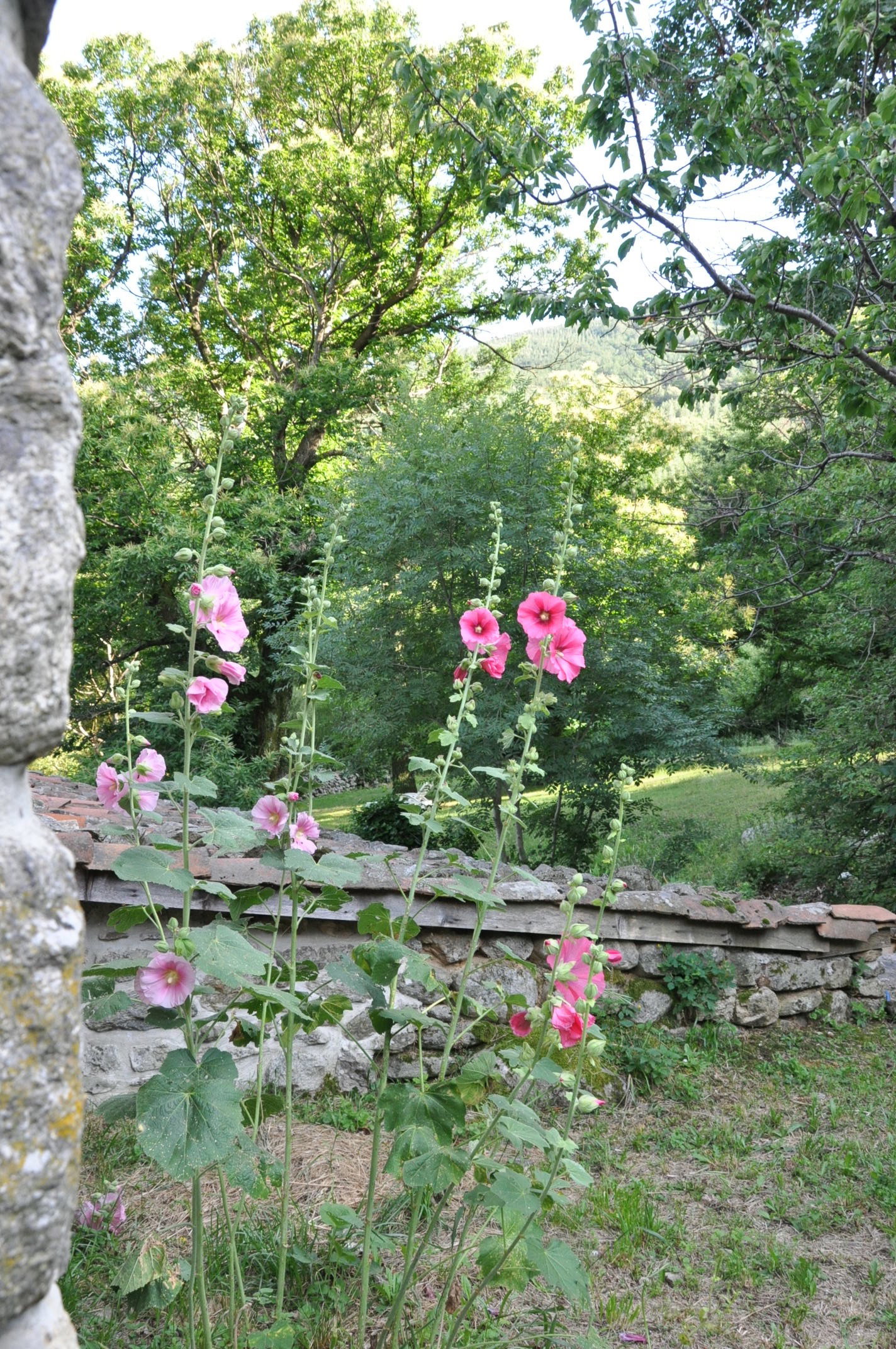 Naturhäuschen in Valgorge