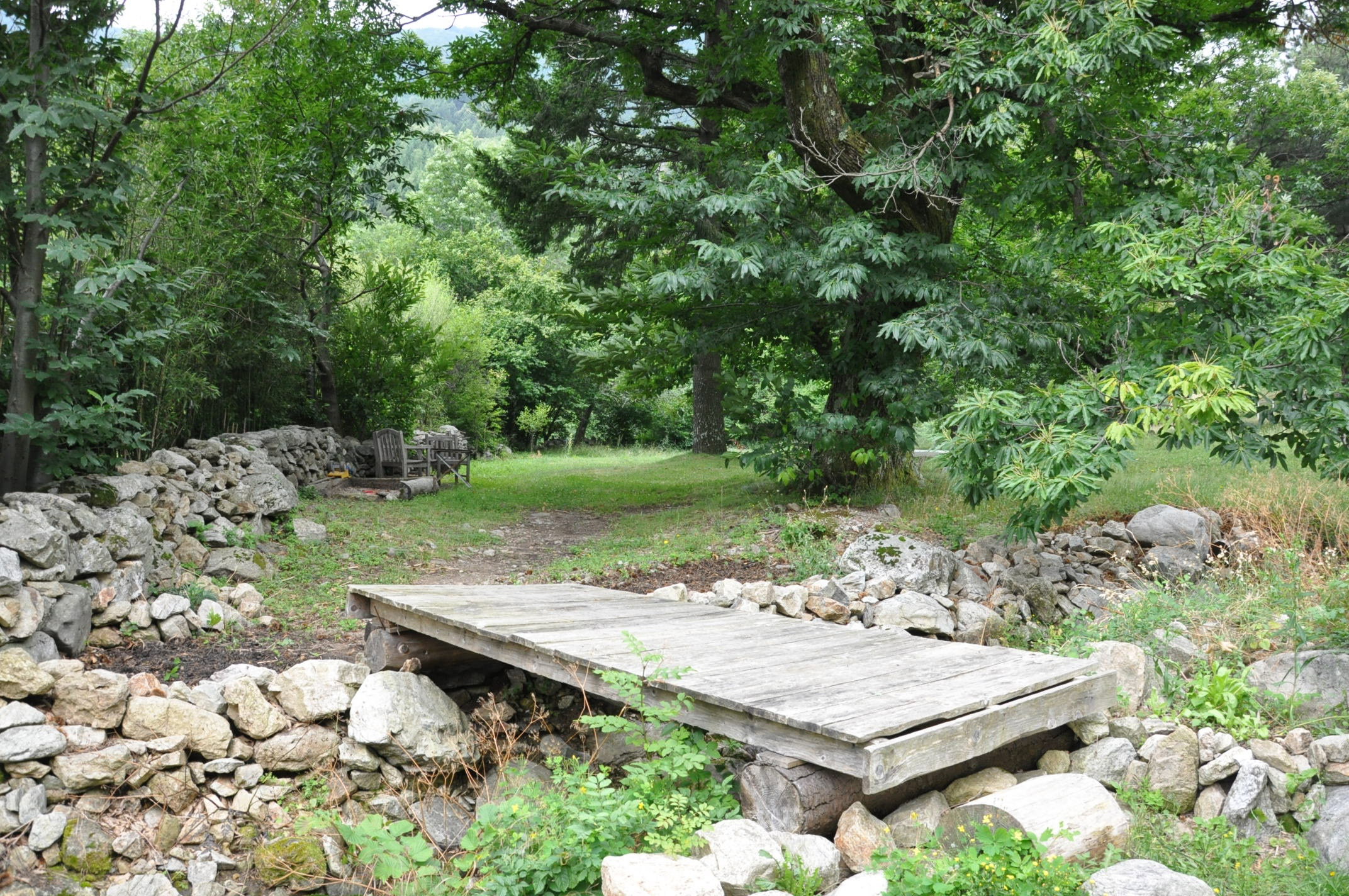 - image: 11