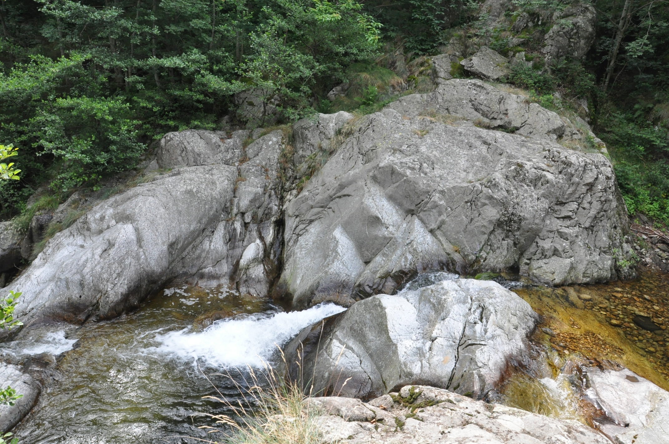 - image: 23
