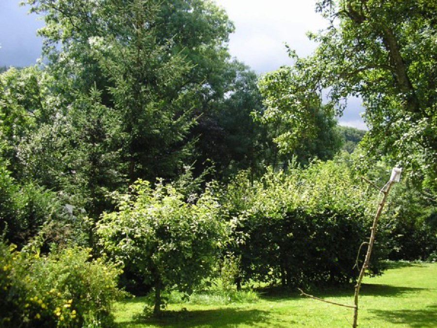 Naturhäuschen in Ouren, Burg Reuland