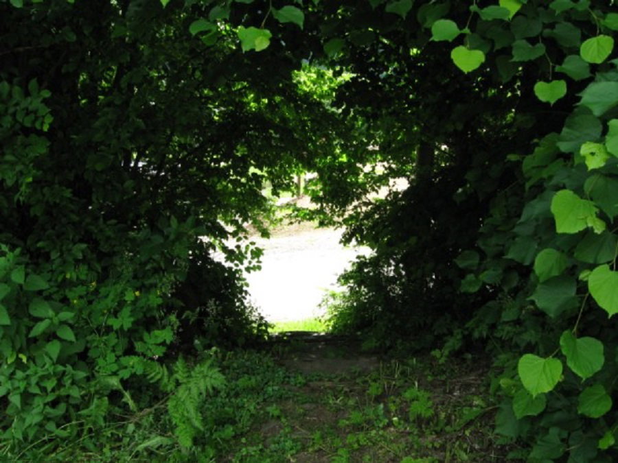 Naturhäuschen in Ouren, Burg Reuland