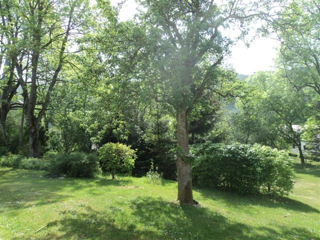 Naturhäuschen in Ouren, Burg Reuland