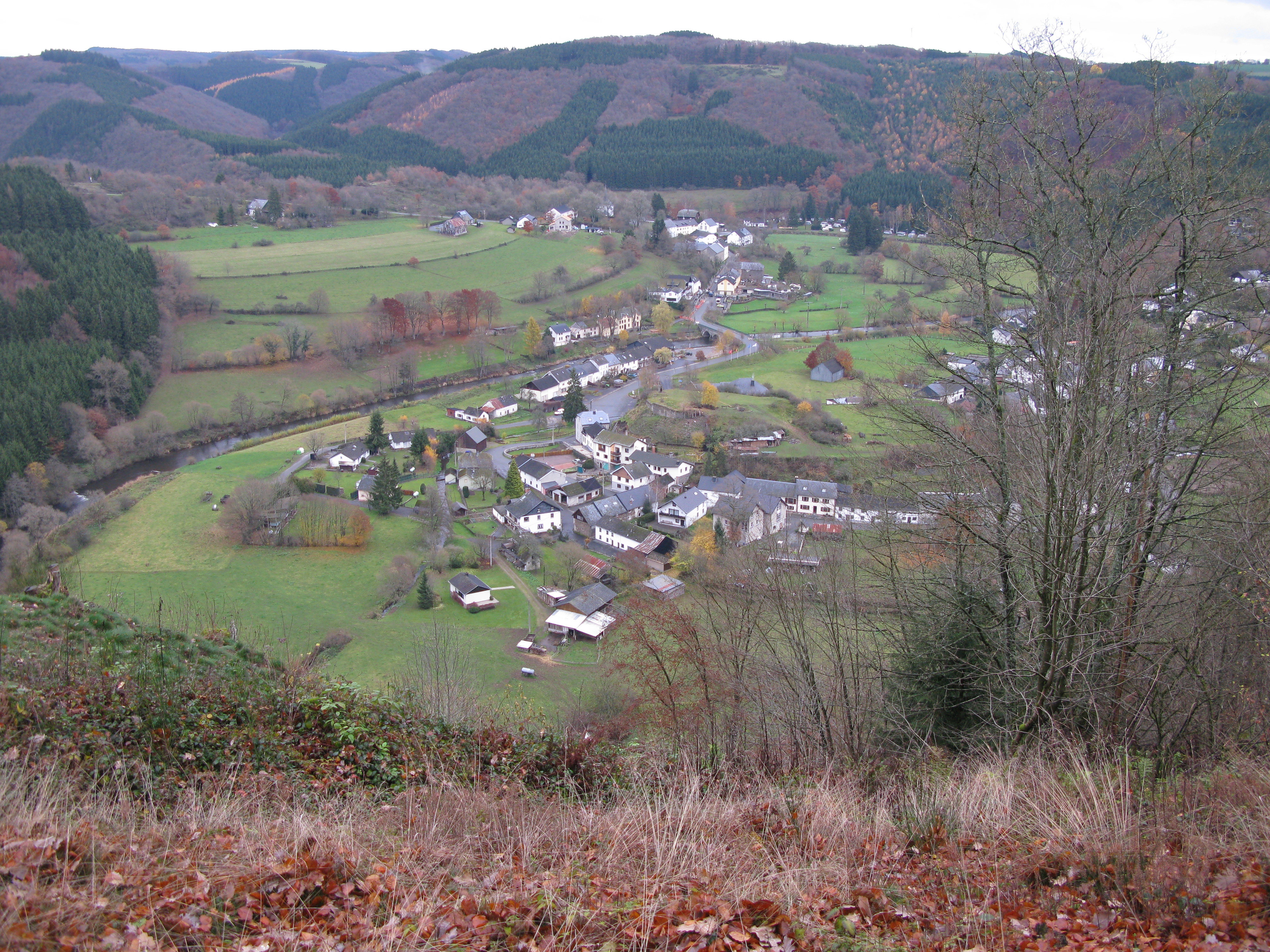- image: 11