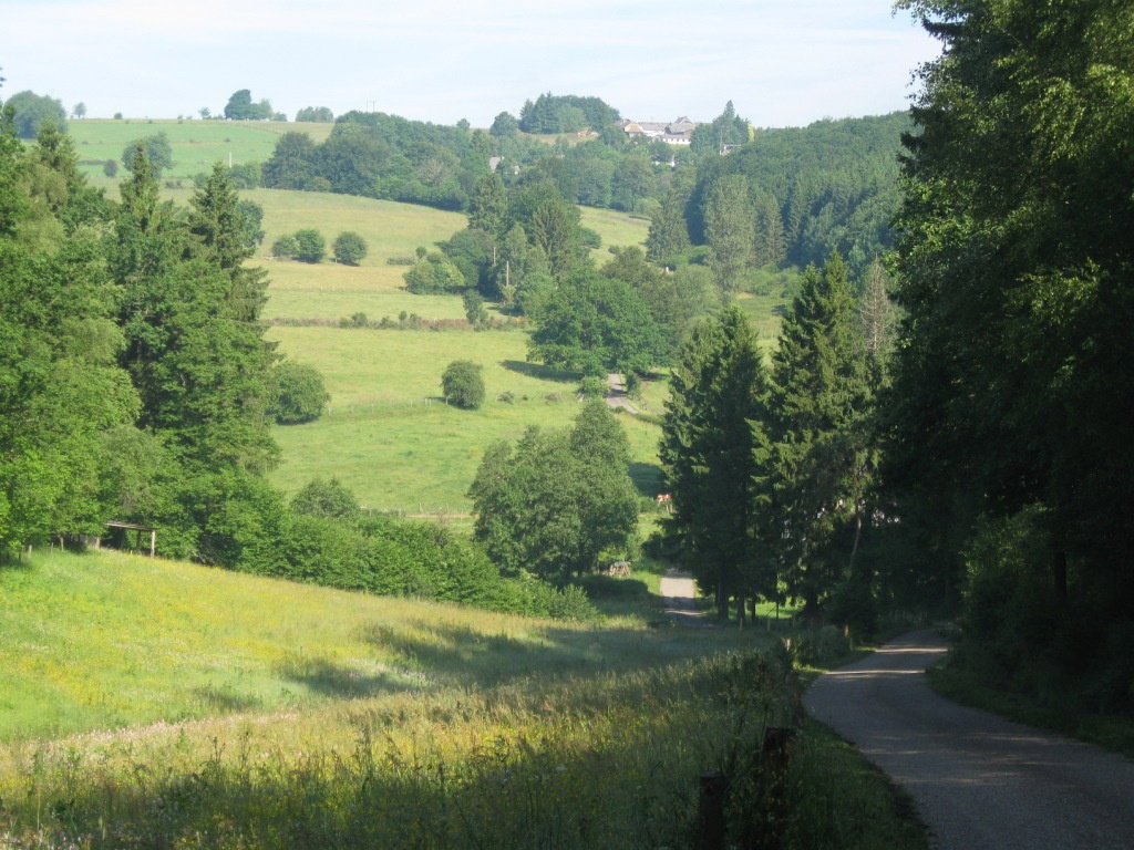 - image: 16