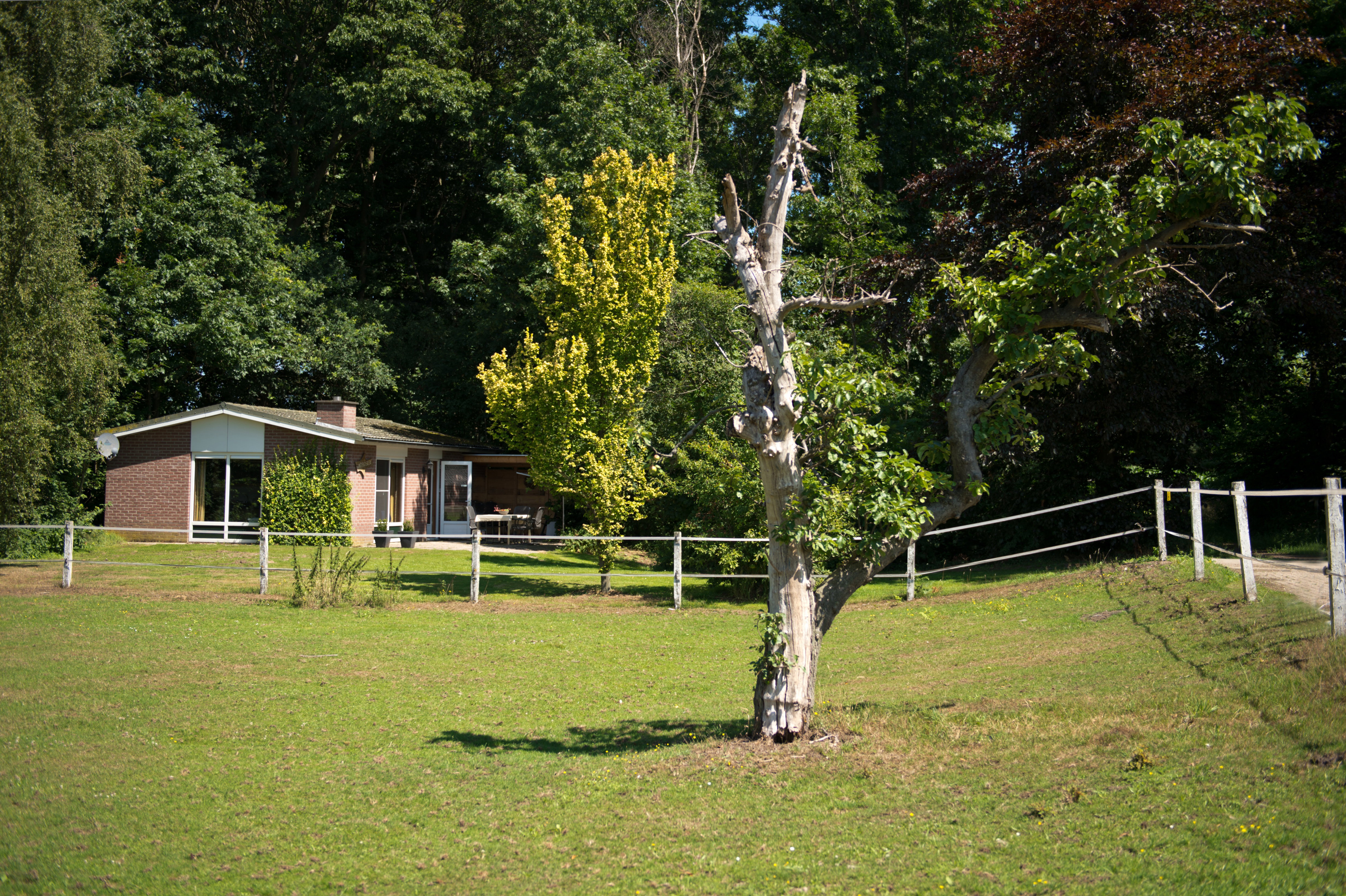 Naturhäuschen in Aalten