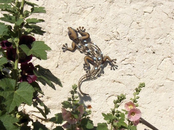 Maison nature à Fachin