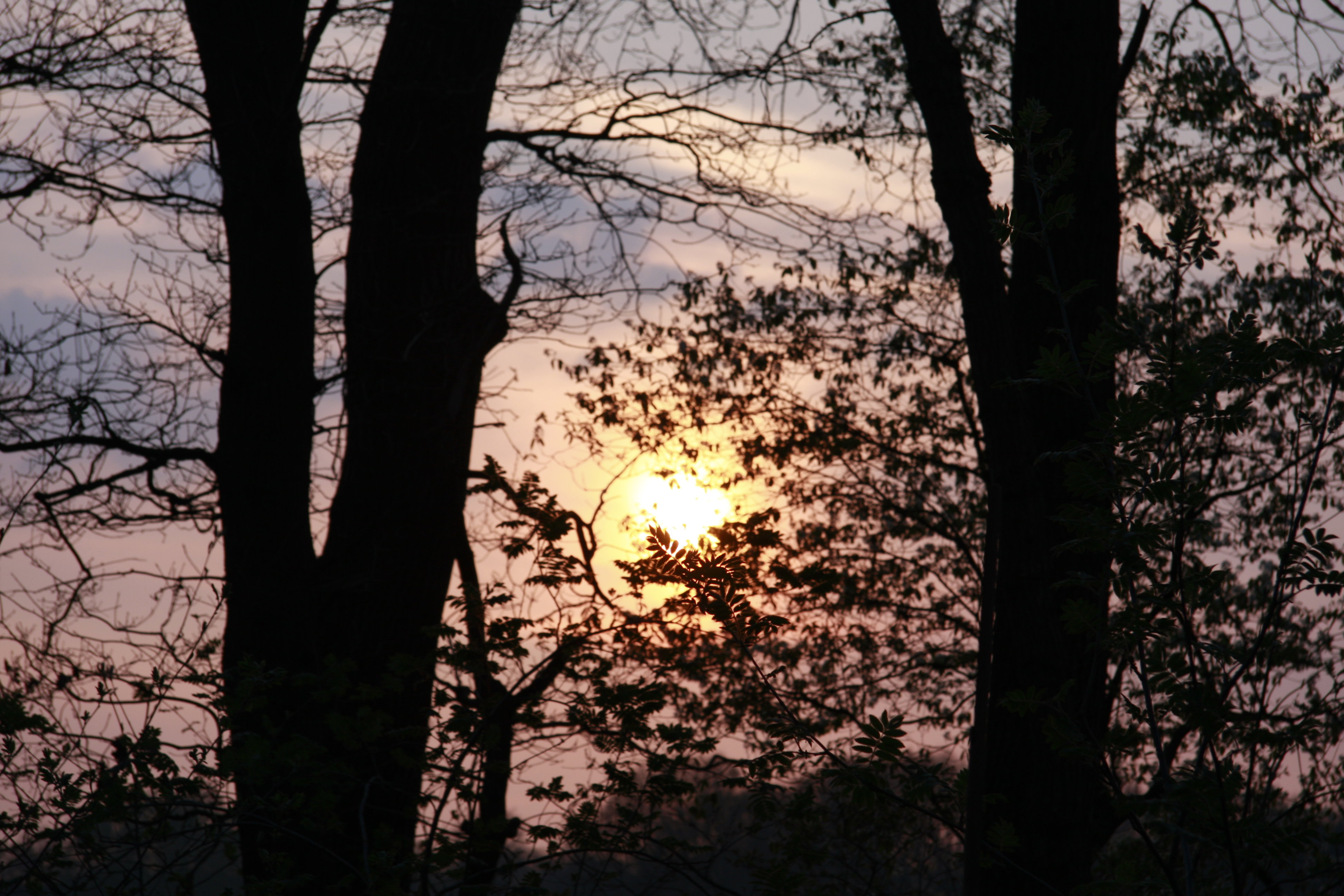 - image: 24