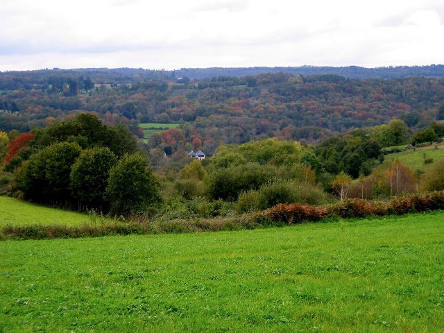 - image: 22