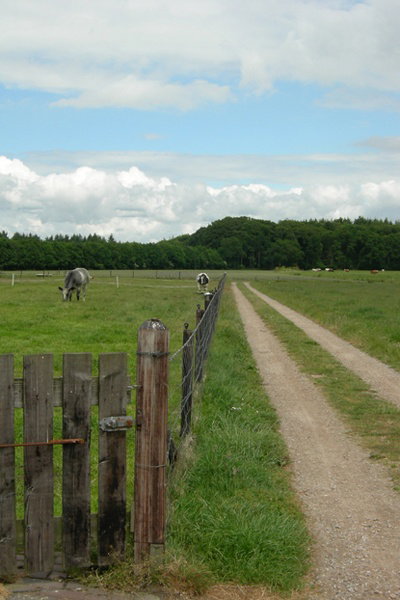 - image: 17