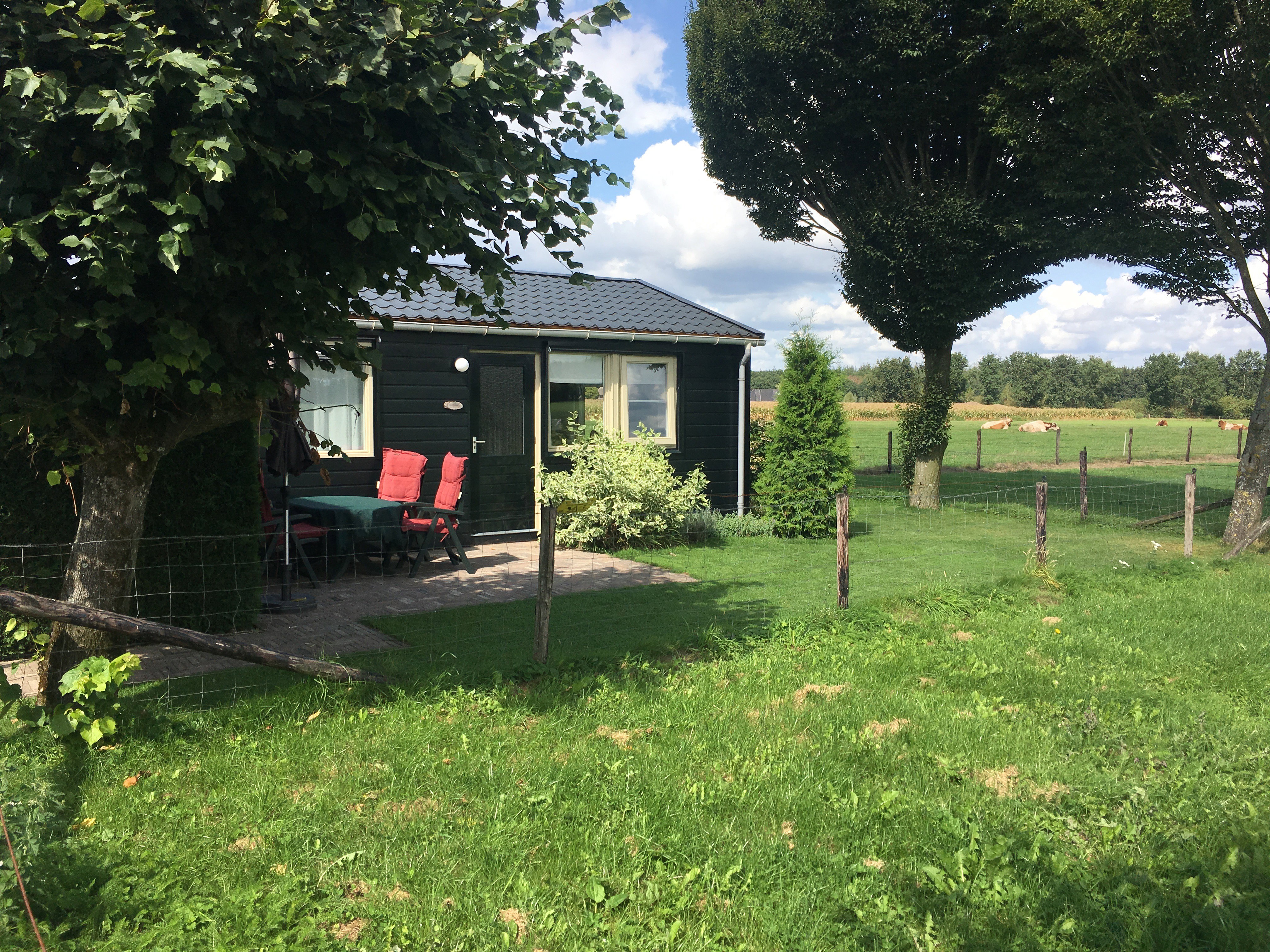 Natuurhuisje in Elspeet