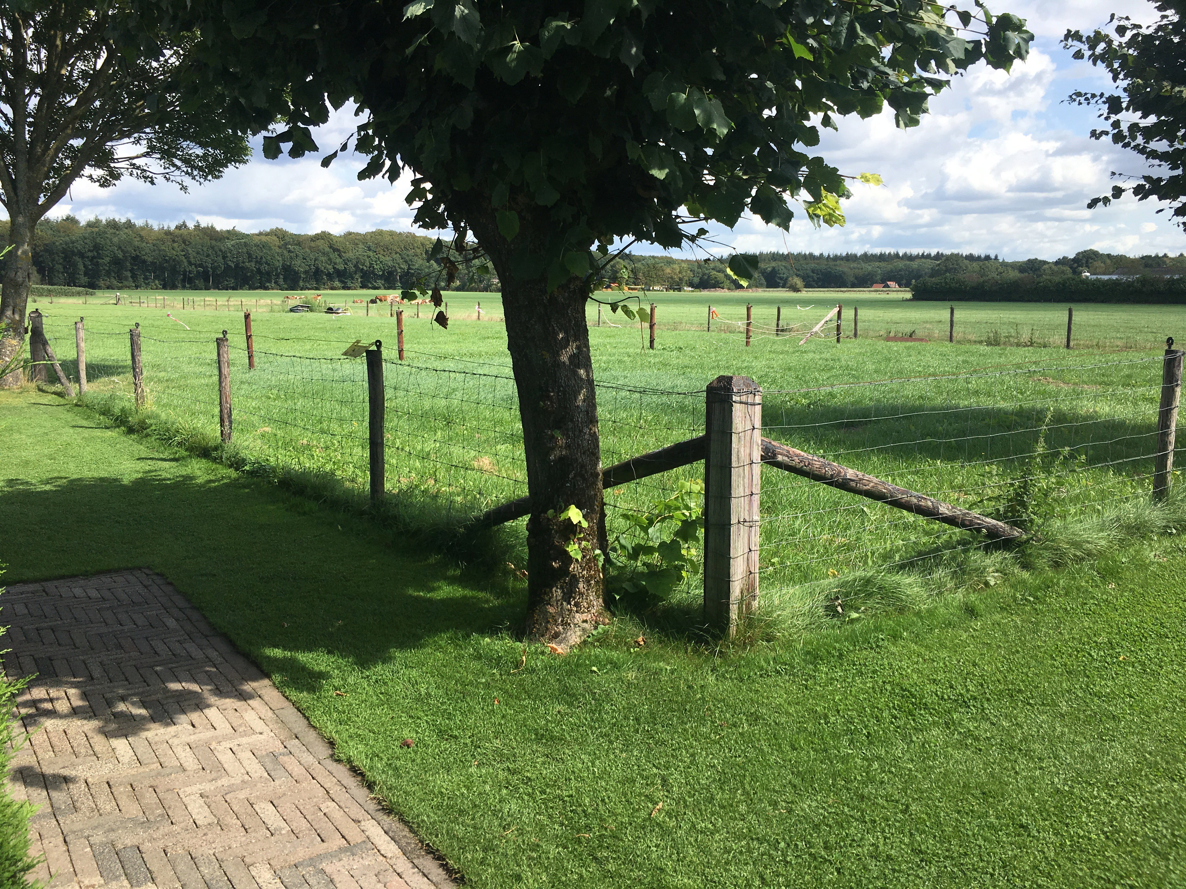 Natuurhuisje in Elspeet