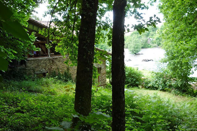 - image: 12